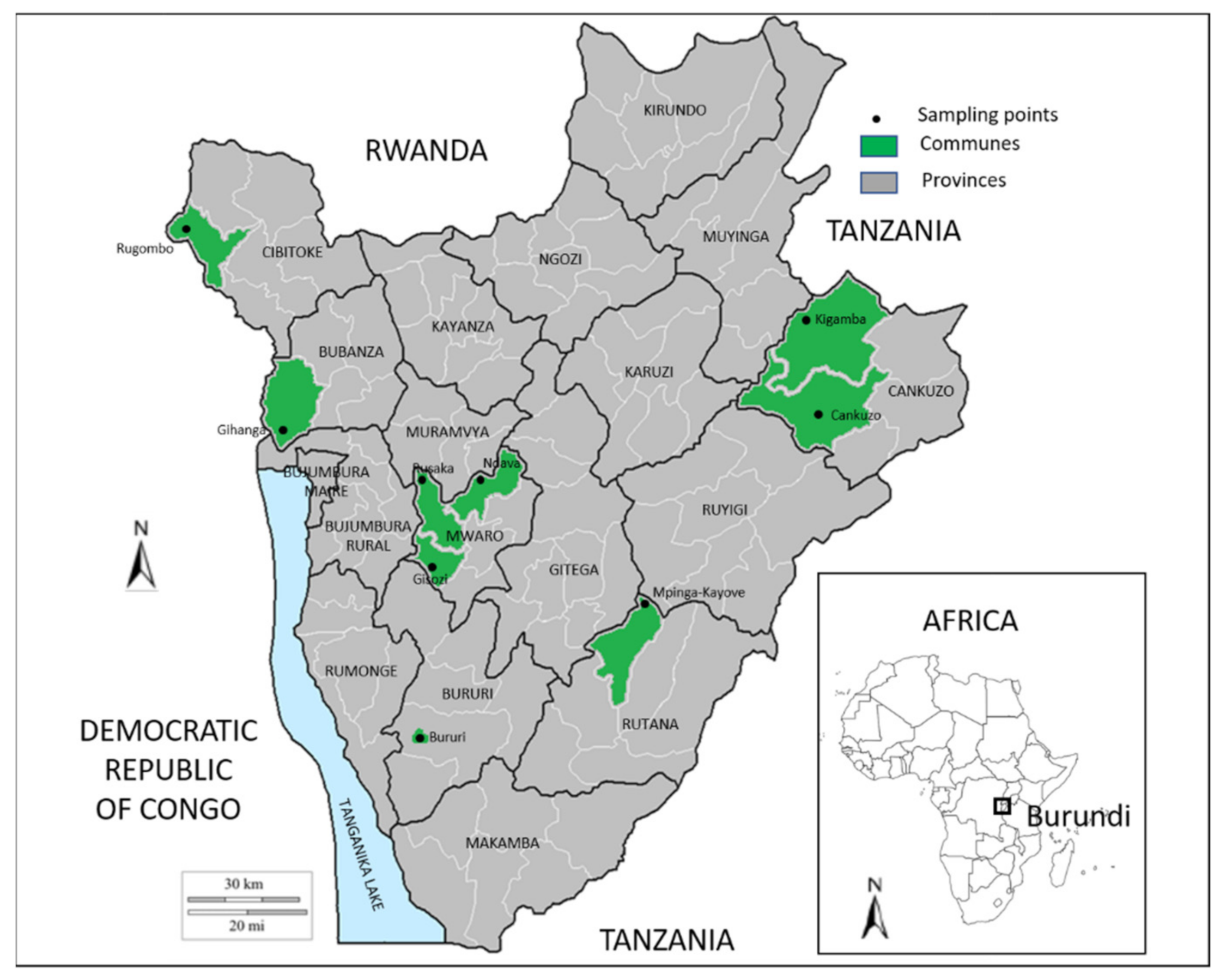 Viruses 14 01077 g001