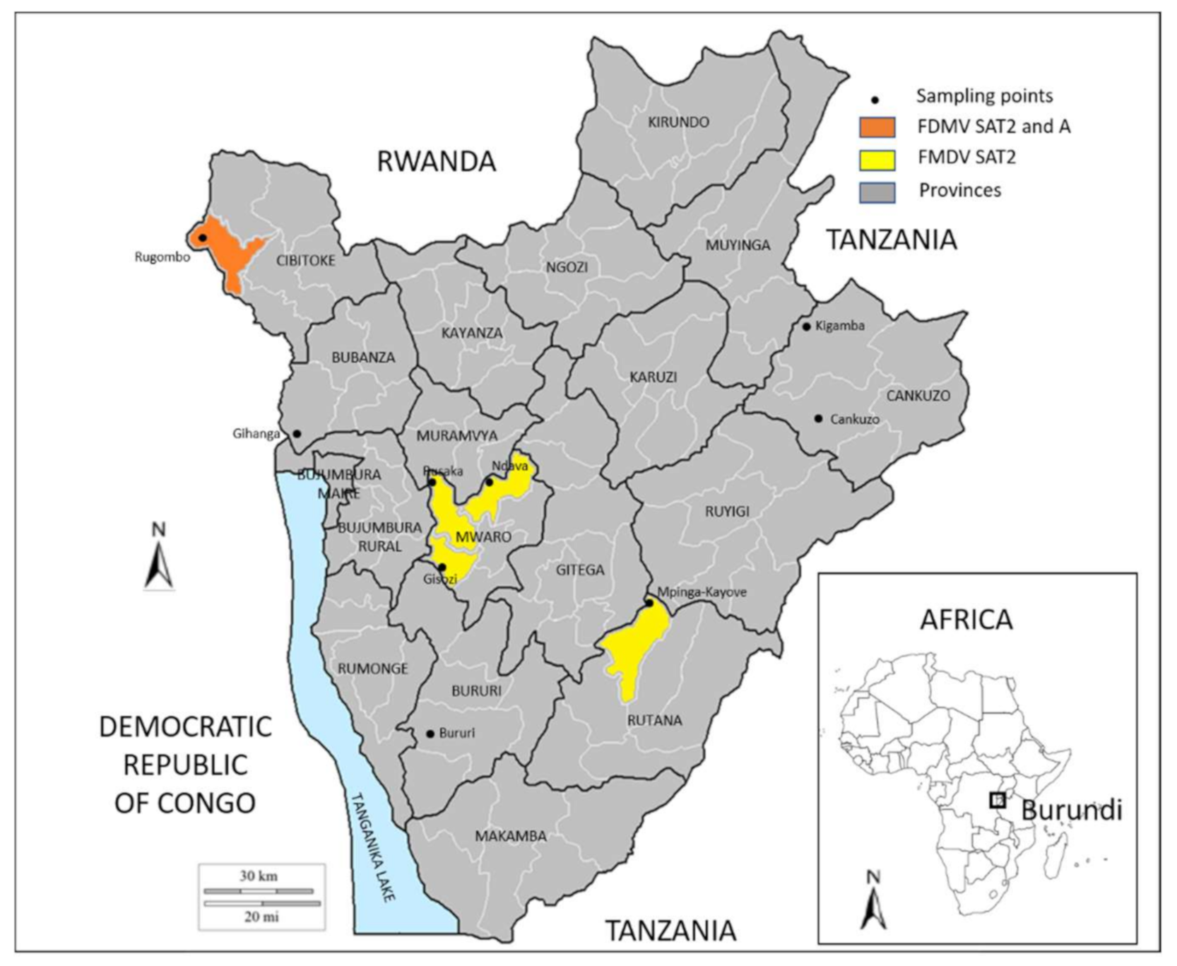 Viruses 14 01077 g002