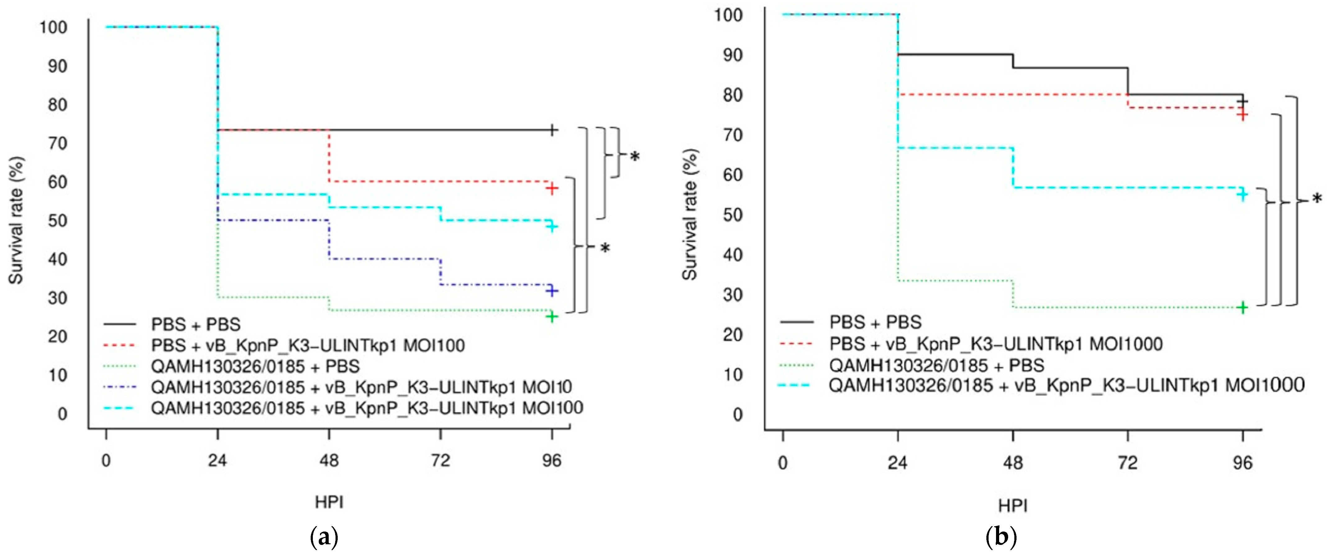 Viruses 14 01079 g007a