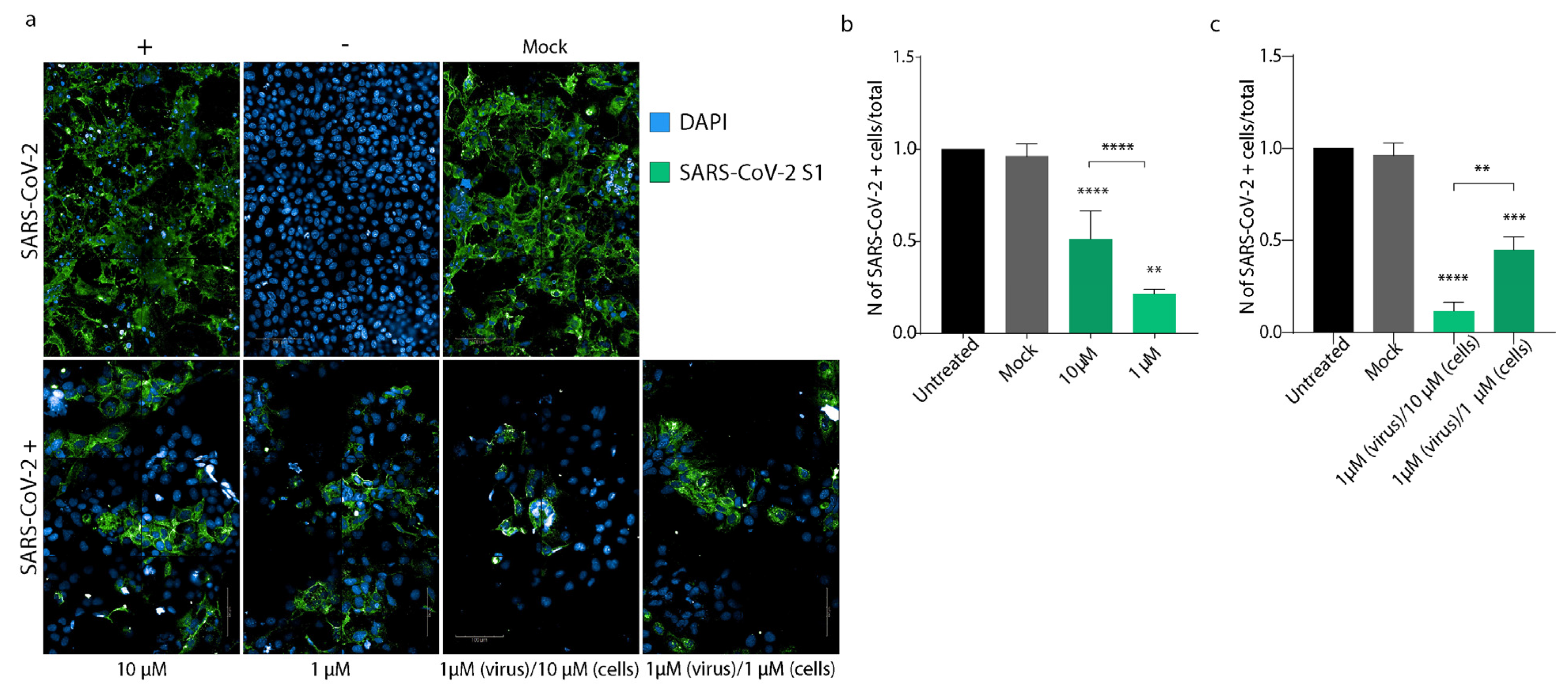 Viruses 14 01080 g006