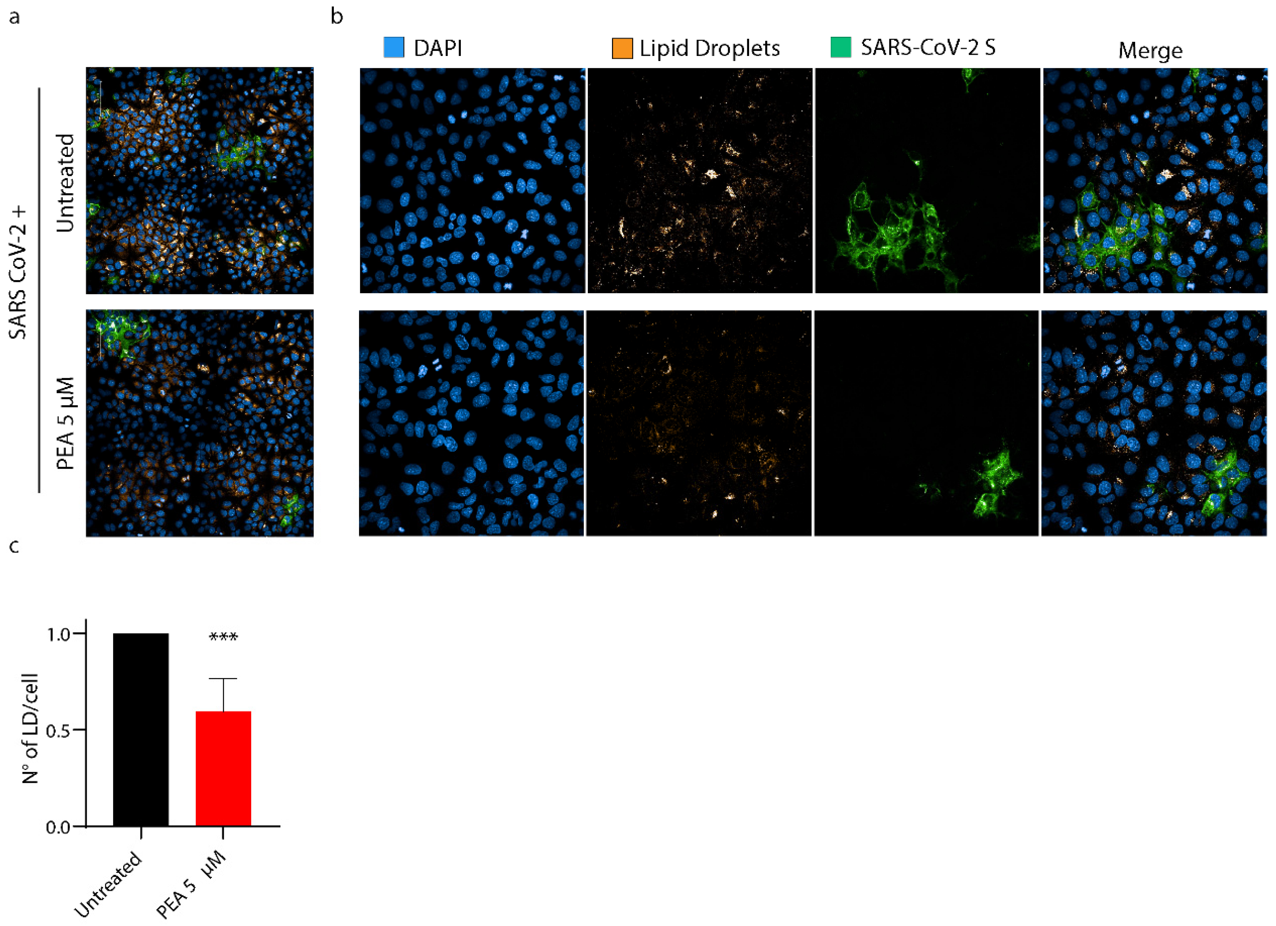 Viruses 14 01080 g010