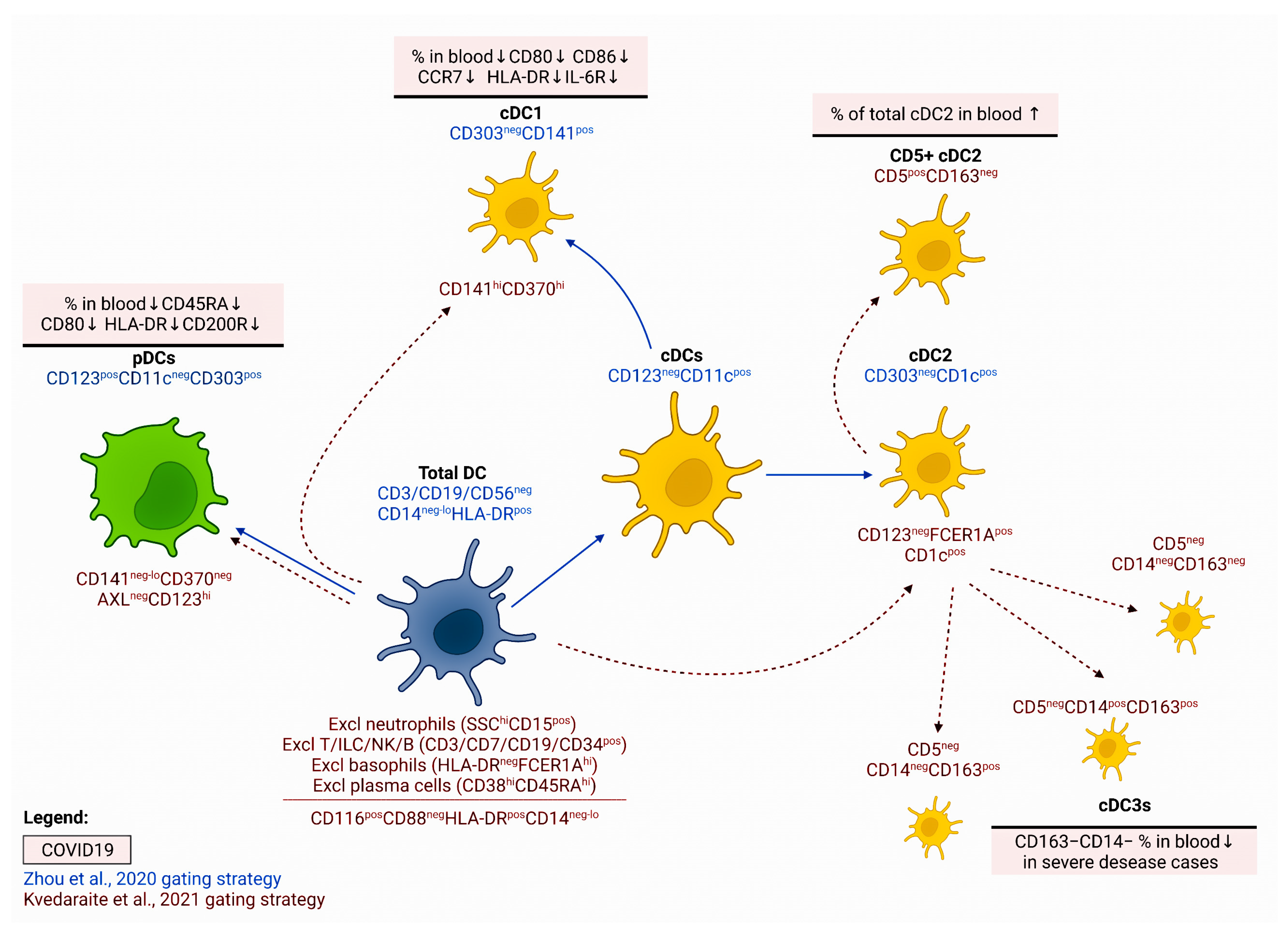 Viruses Free Full-Text Dysregulated Immune Responses in SARS-CoV-2-Infected Patients A Comprehensive Overview