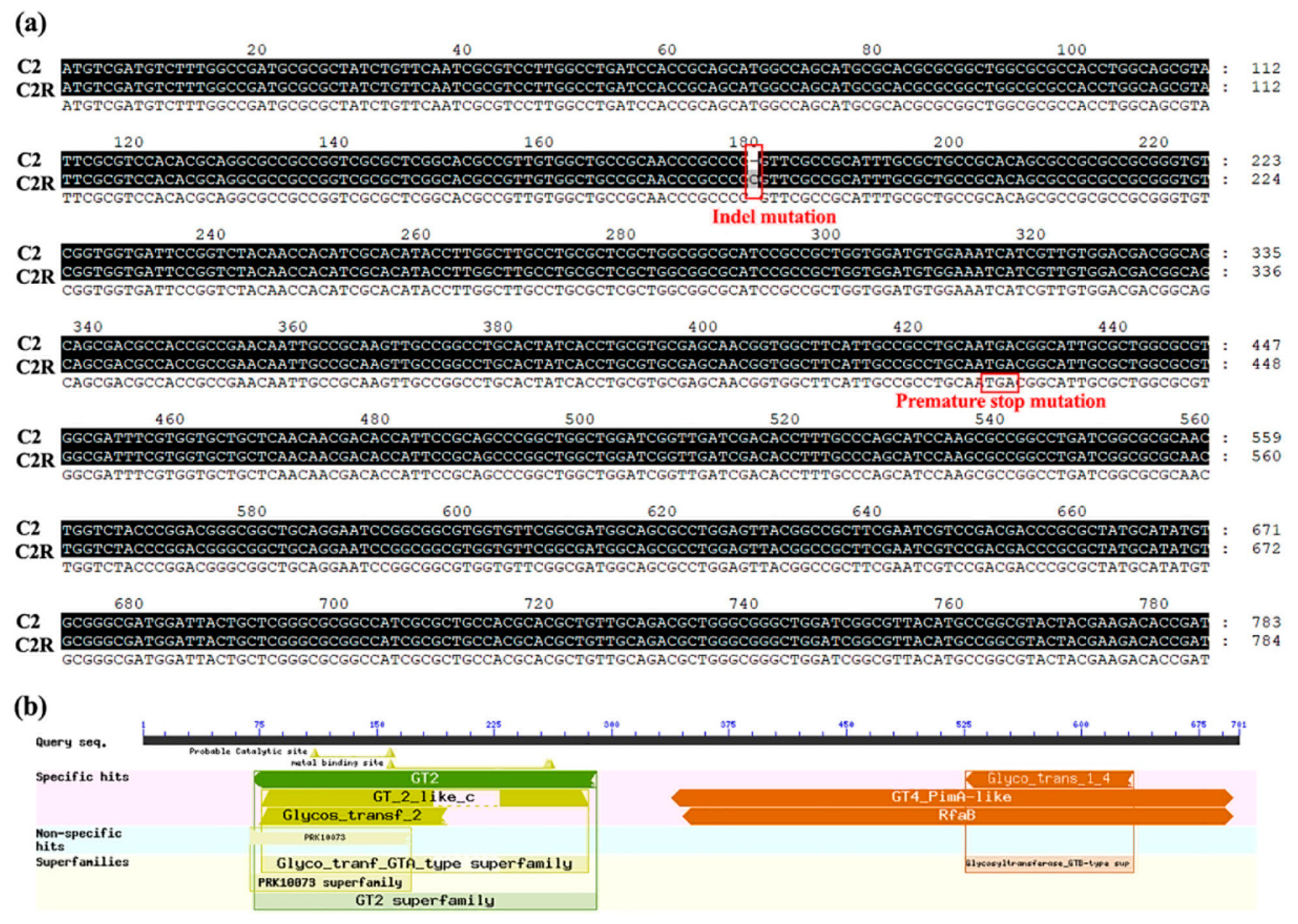 Viruses 14 01088 g002 550