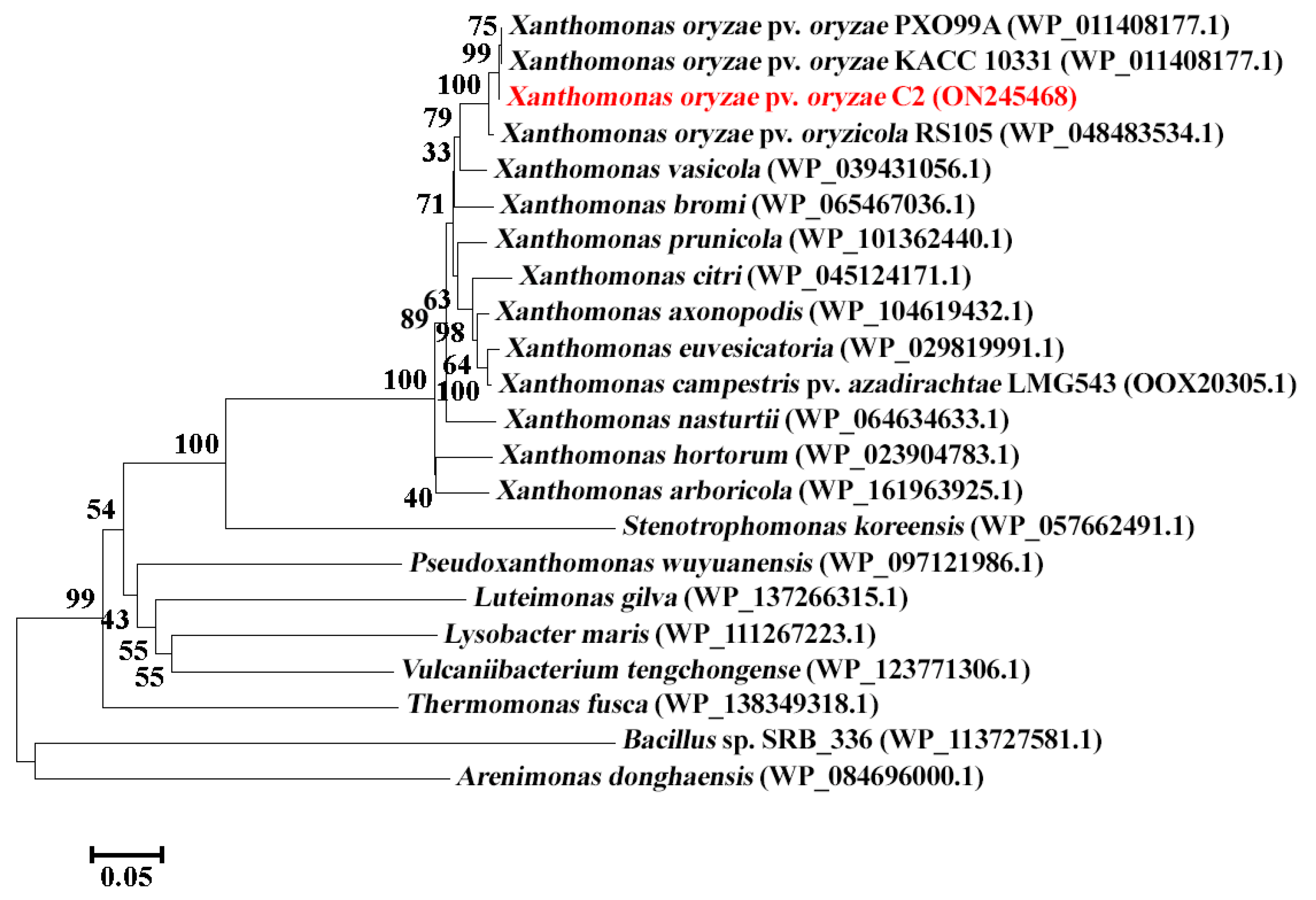 Viruses 14 01088 g003 550