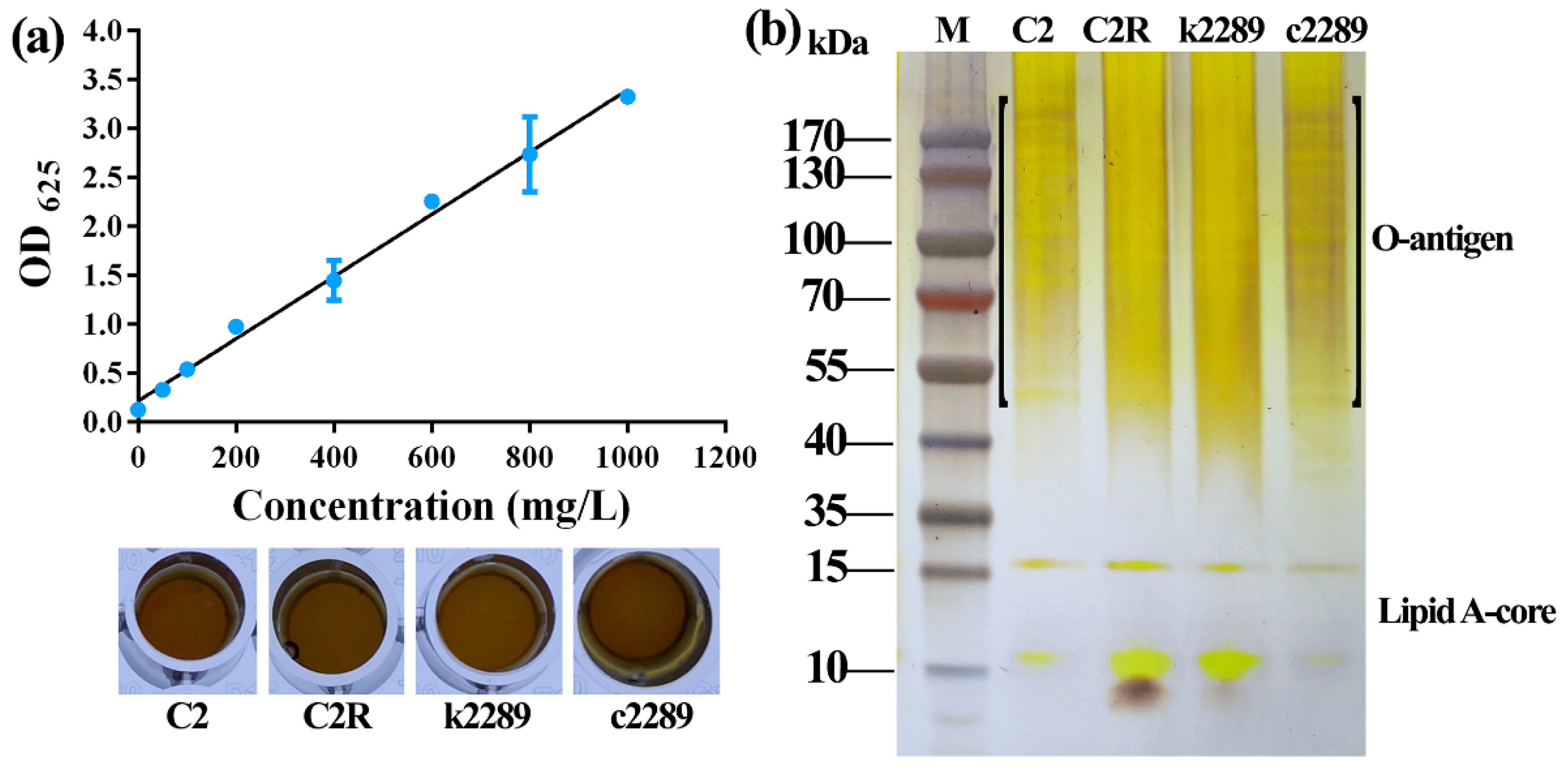 Viruses 14 01088 g007 550