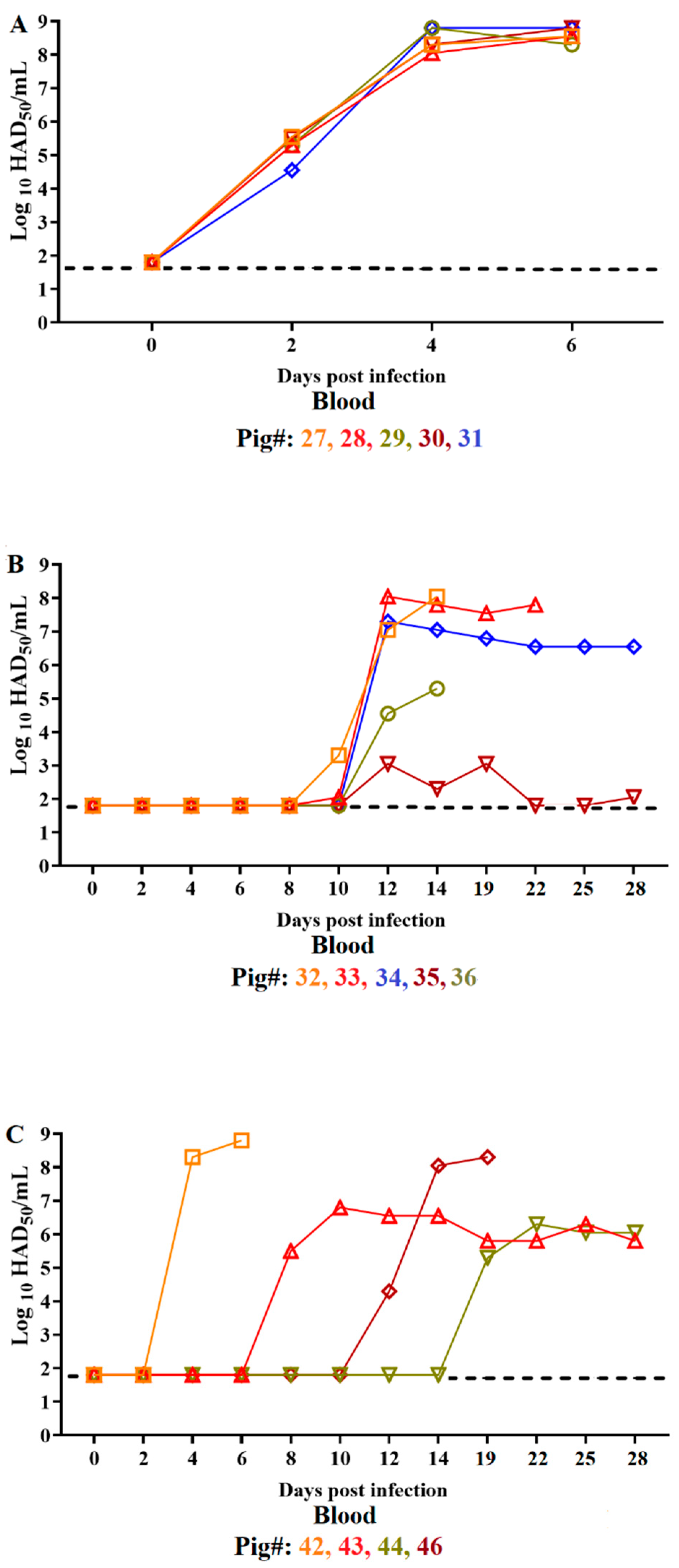 Viruses 14 01090 g003