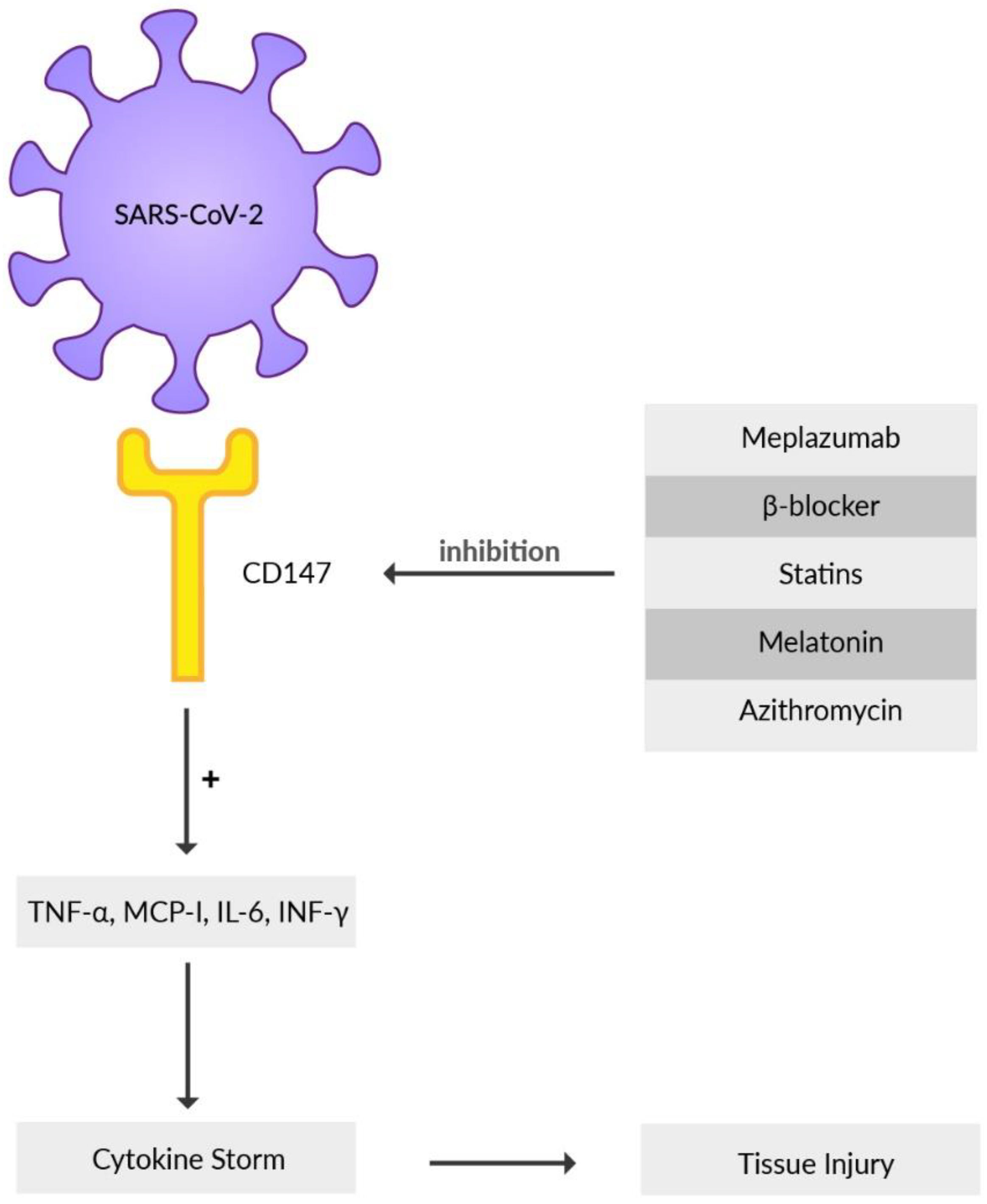 Viruses 14 01092 g003