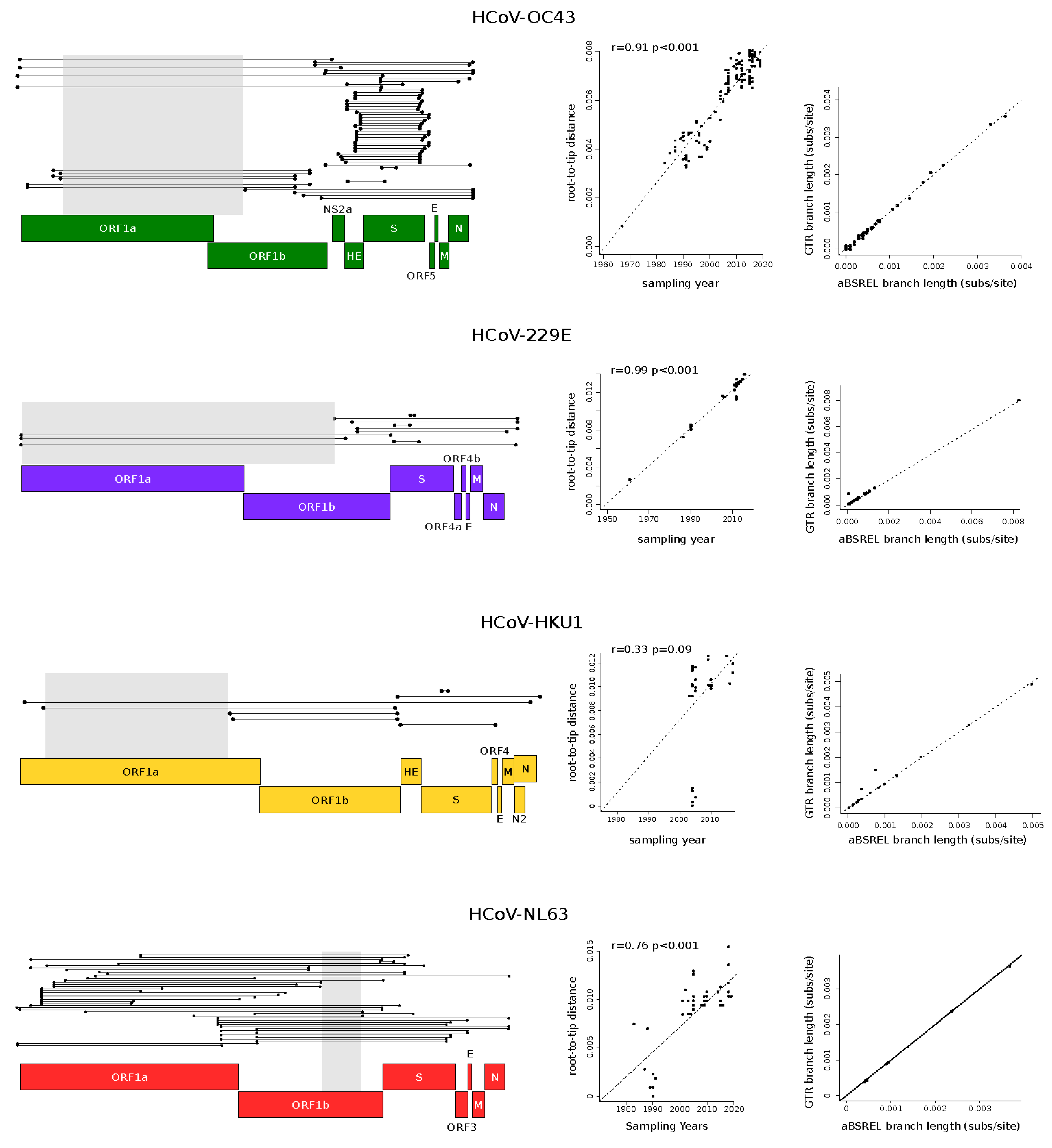 Viruses 14 01095 g001