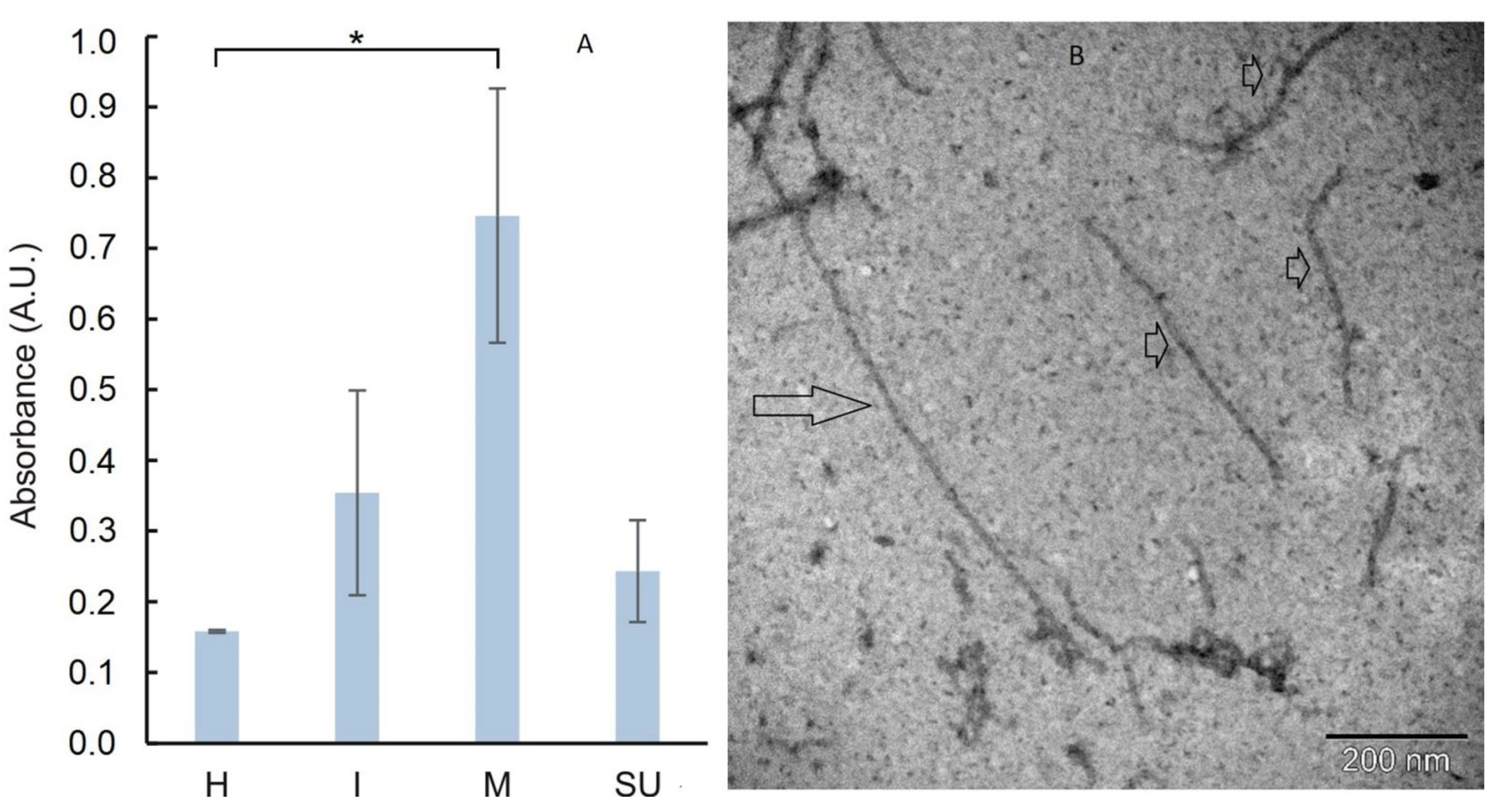 Viruses 14 01099 g003 550