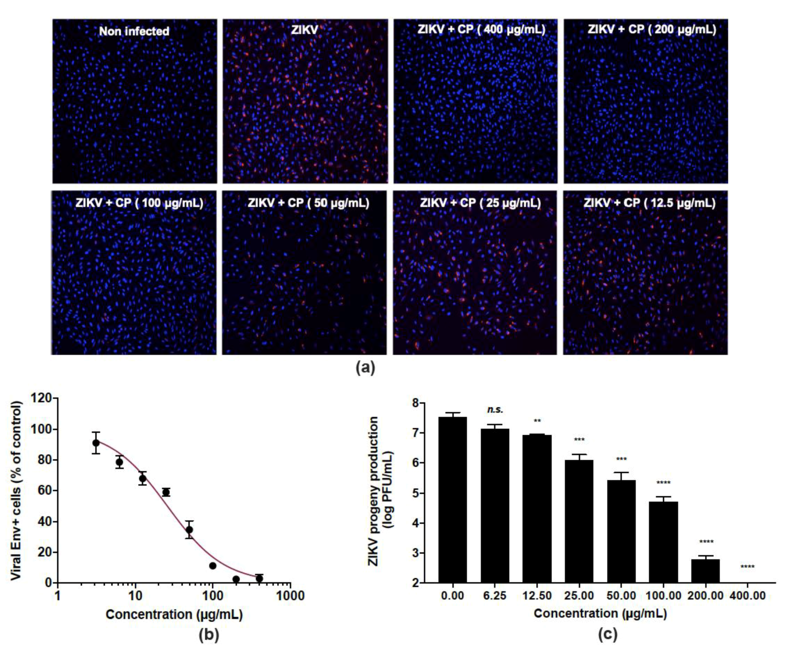 Viruses 14 01101 g003