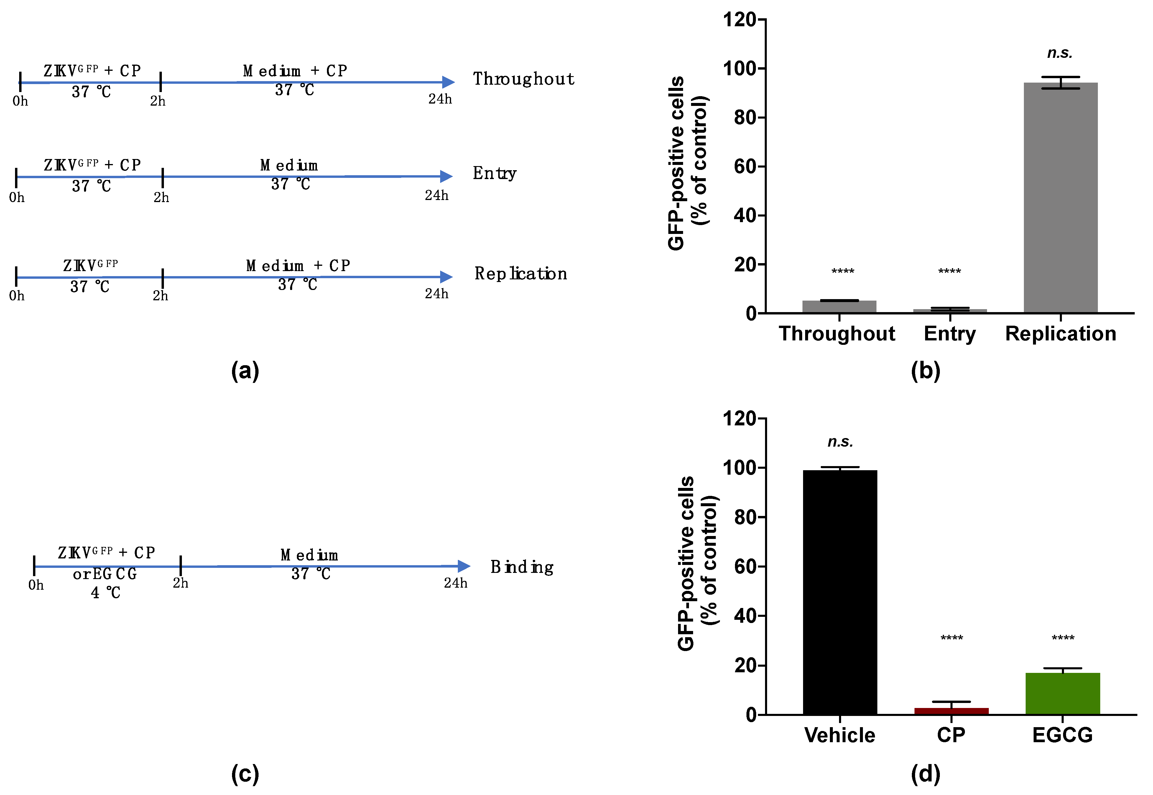 Viruses 14 01101 g004