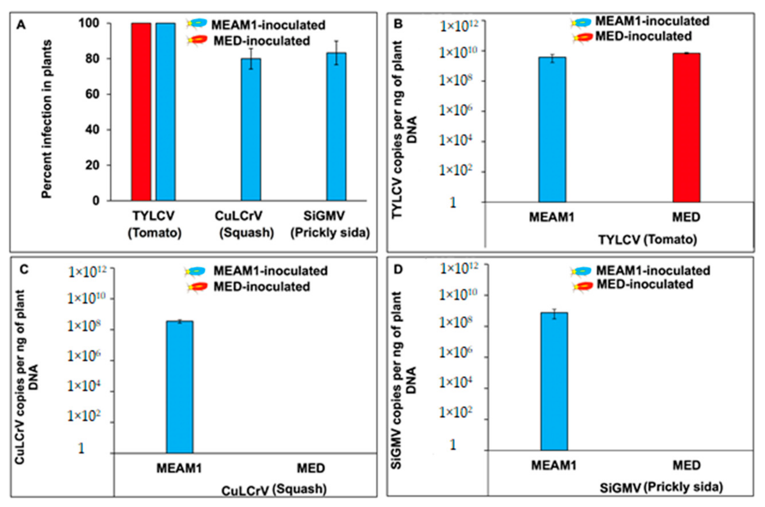 Viruses 14 01104 g001 Viruses 14 01104 g001