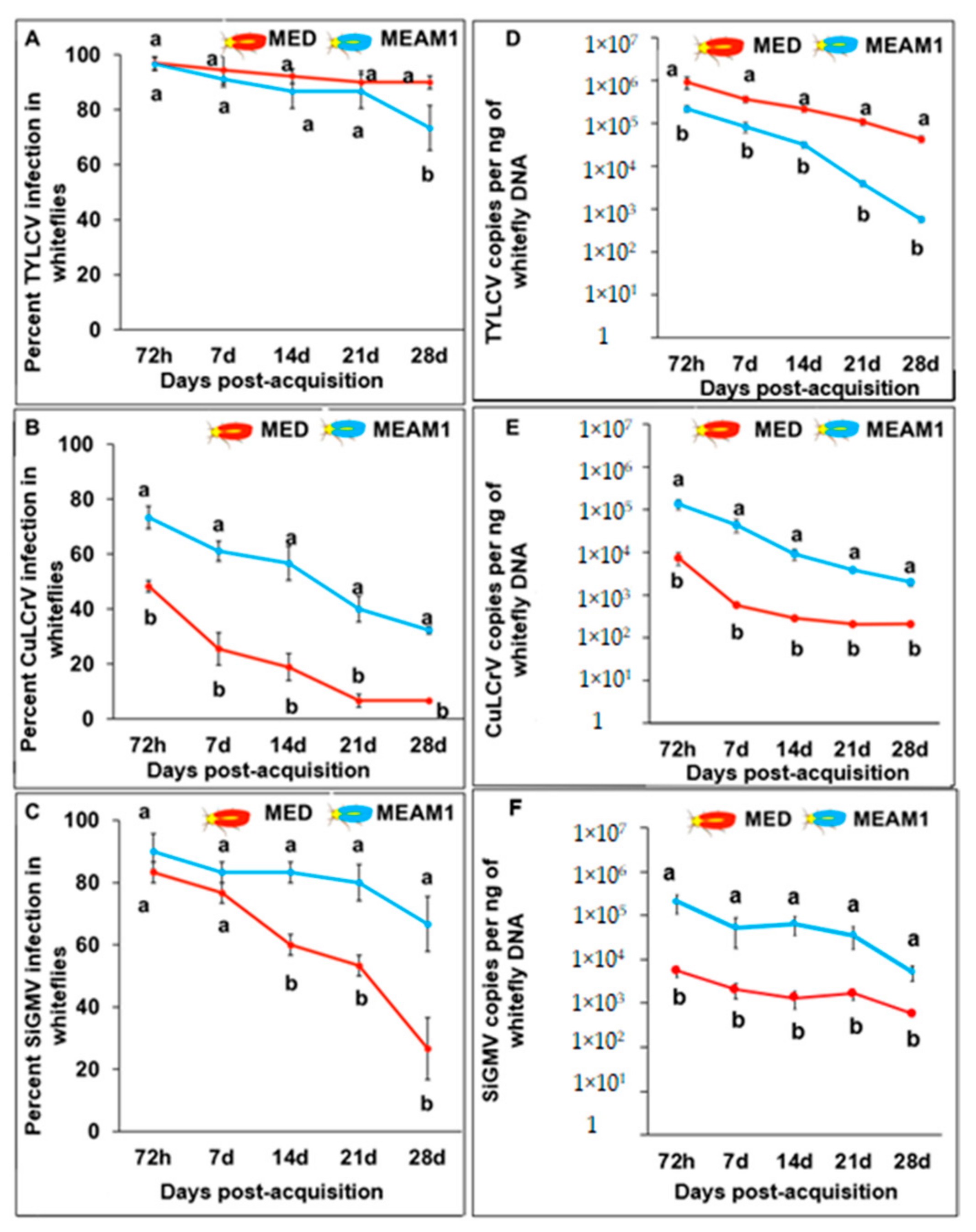 Viruses 14 01104 g002 Viruses 14 01104 g002