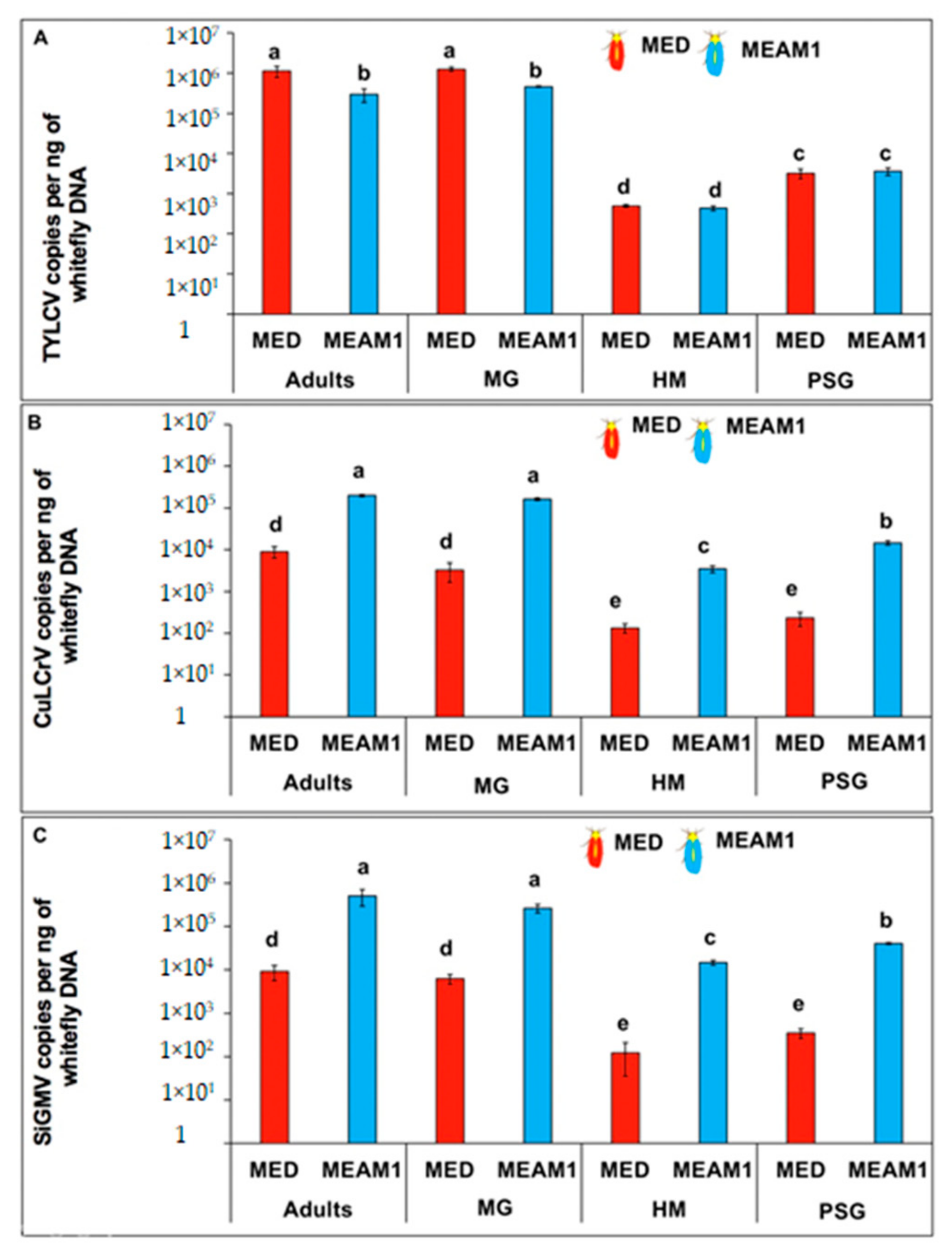 Viruses 14 01104 g005 Viruses 14 01104 g005