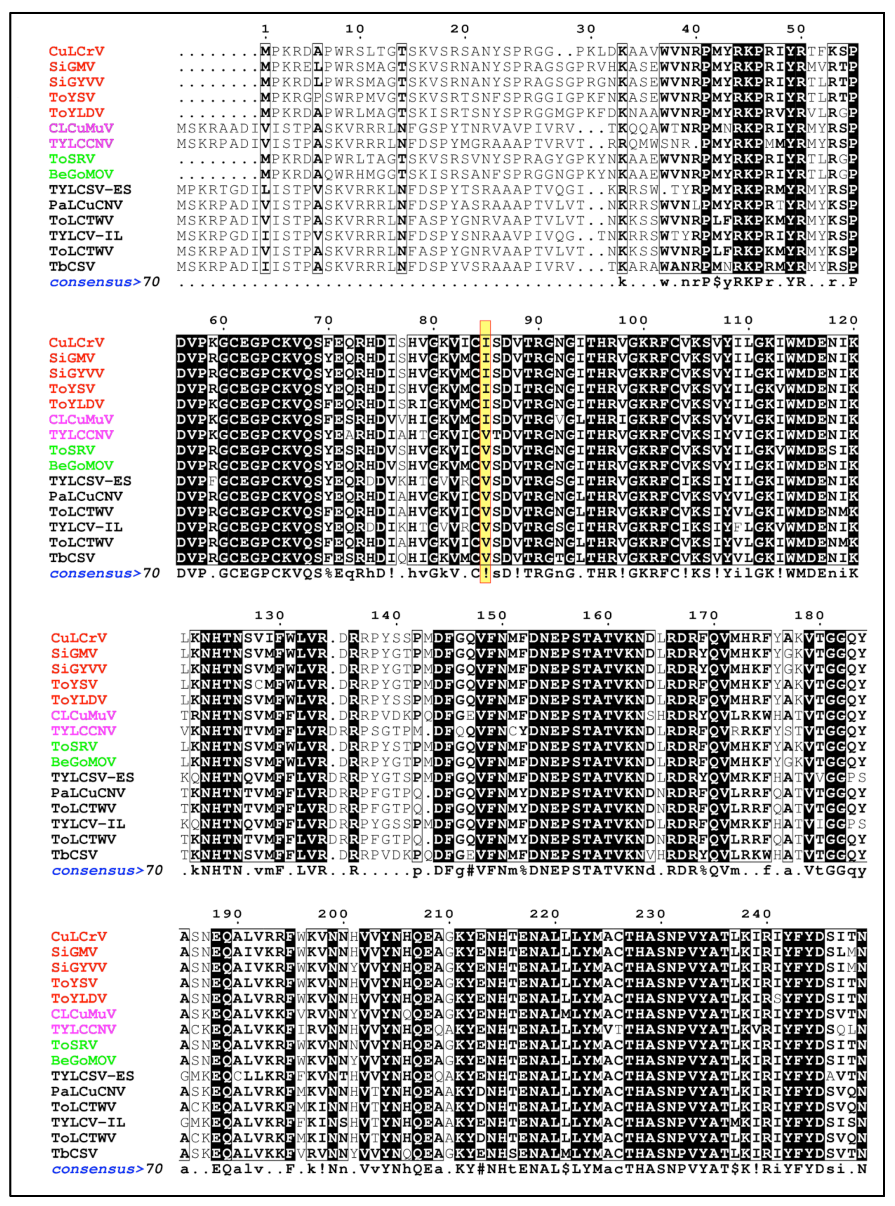 Viruses 14 01104 g006 Viruses 14 01104 g006