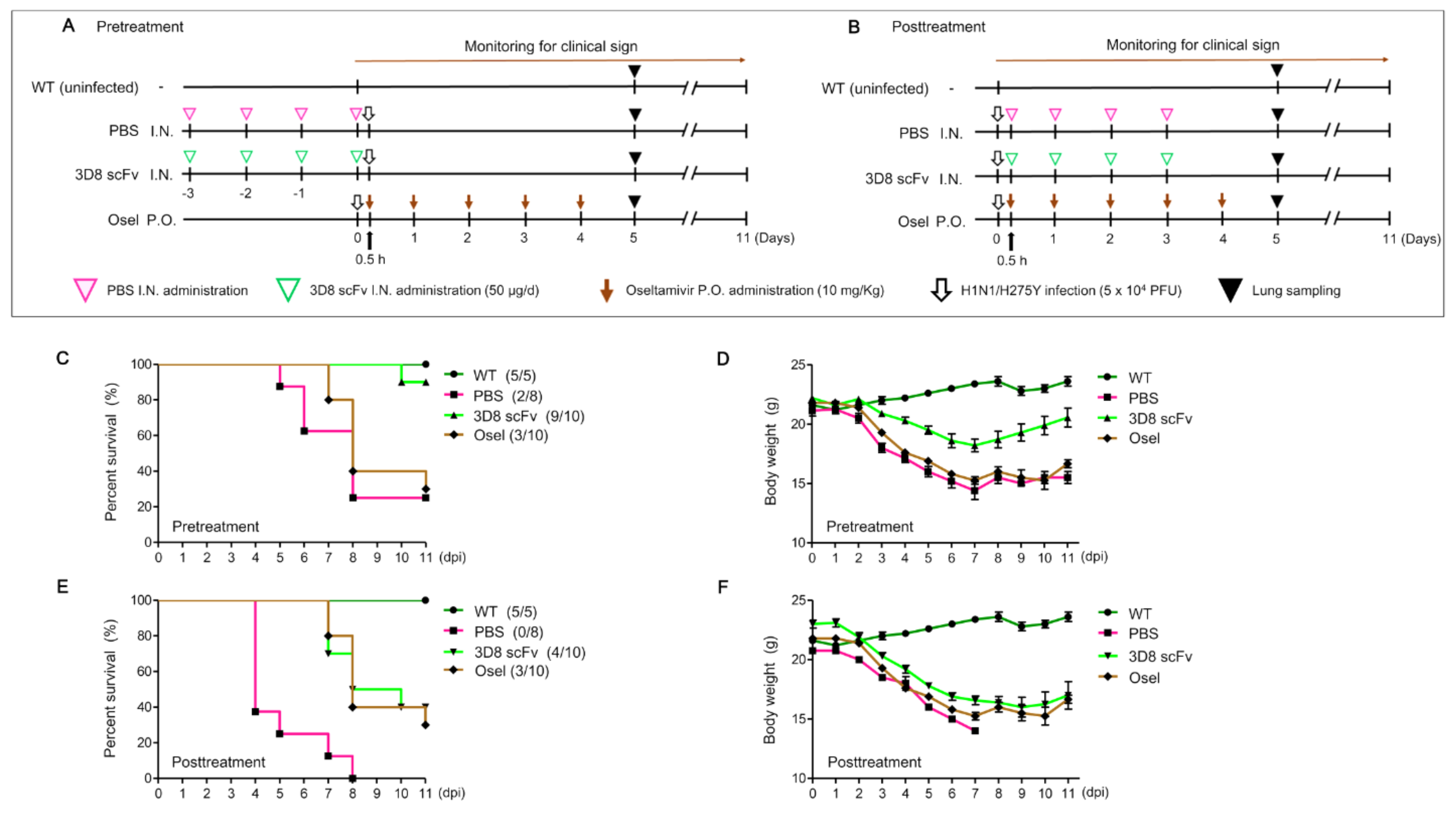 Viruses 14 01105 g003