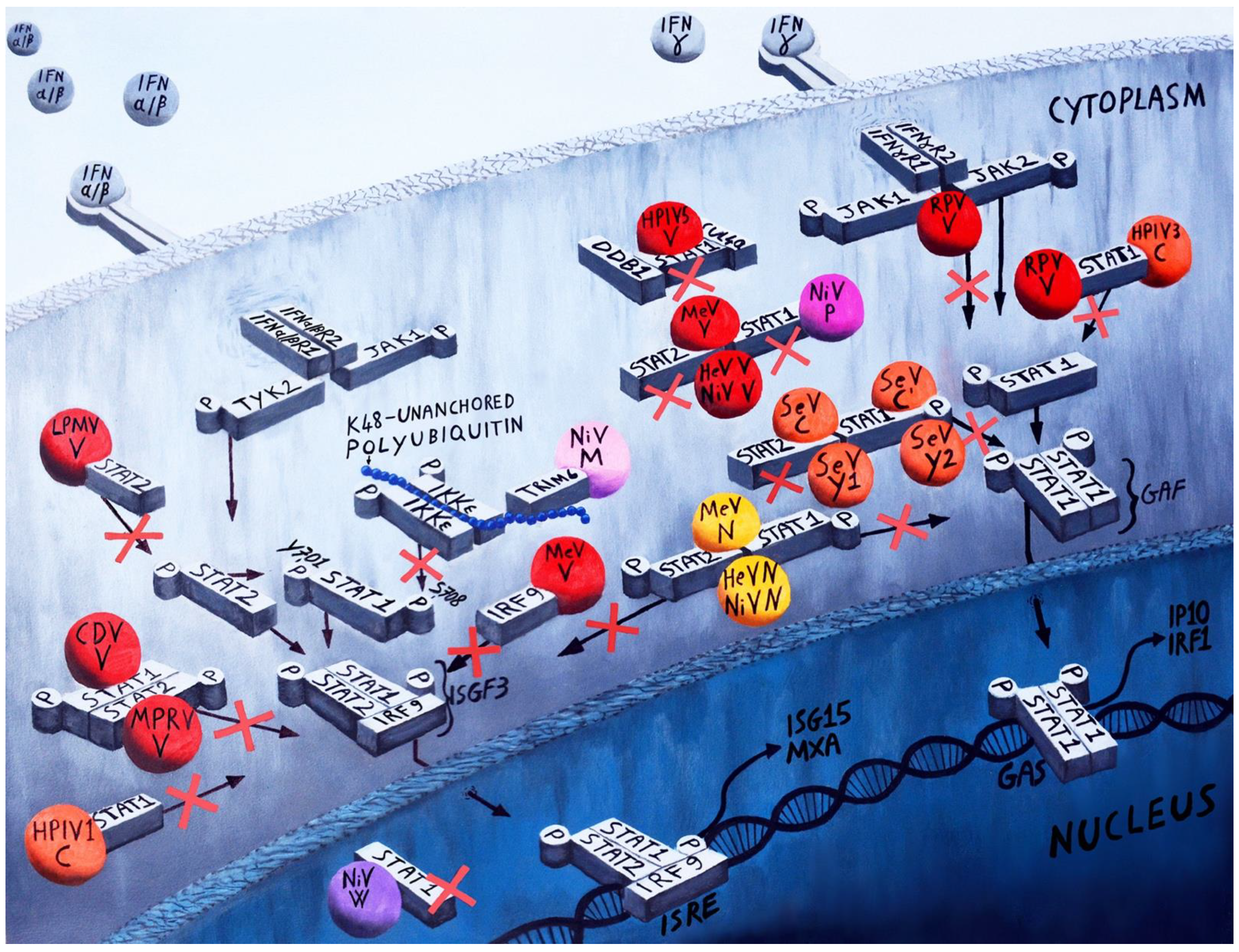 Viruses 14 01107 g003 Viruses 14 01107 g003