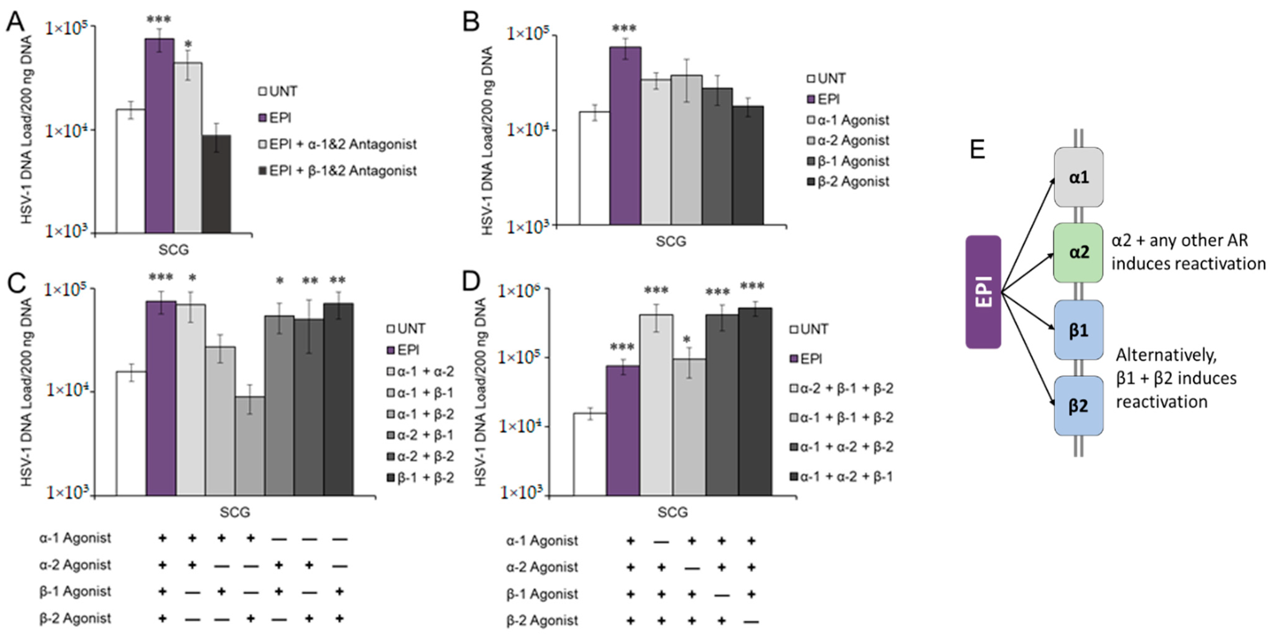 Viruses 14 01115 g002 Viruses 14 01115 g002