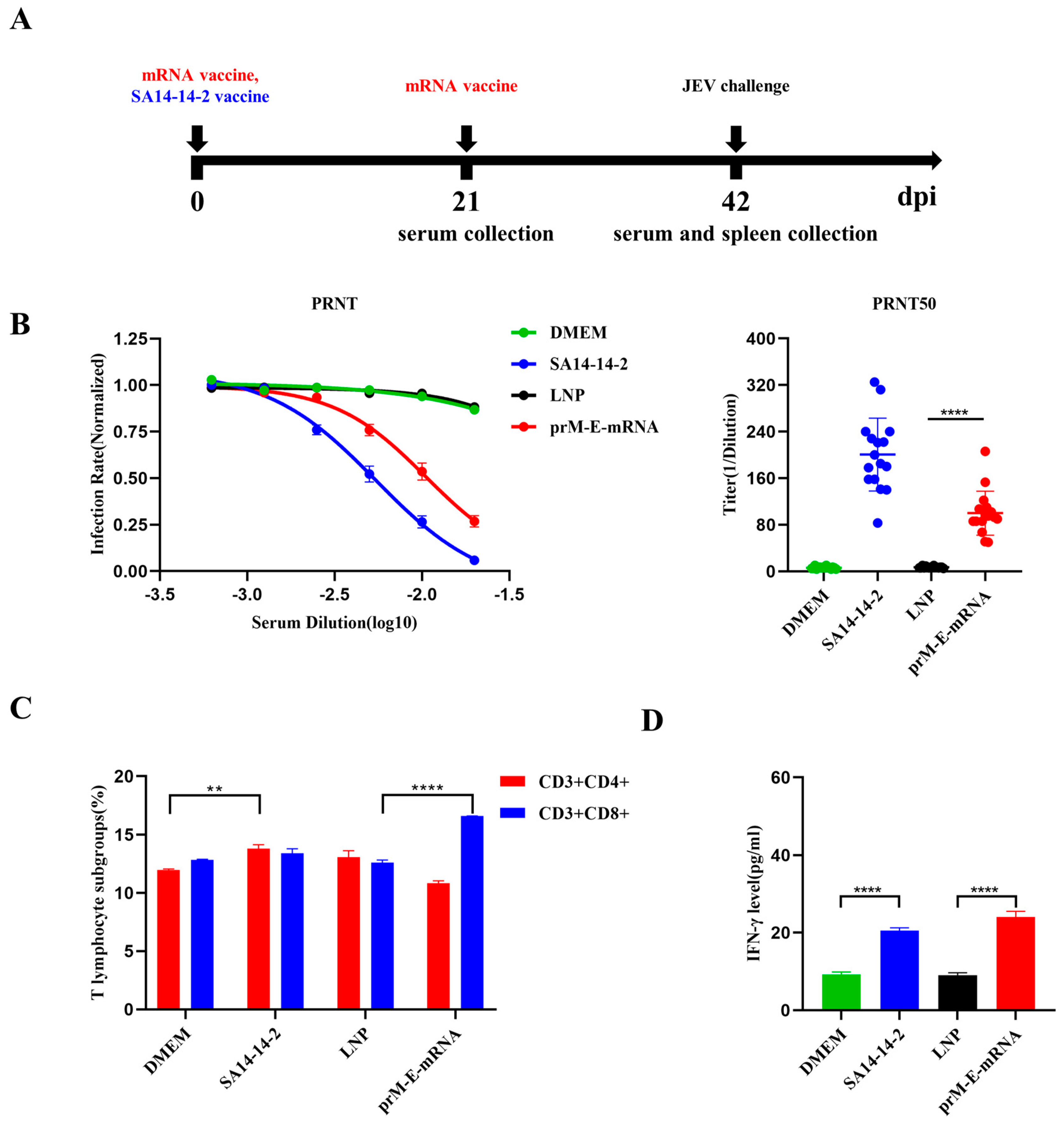 Viruses 14 01121 g002 Viruses 14 01121 g002