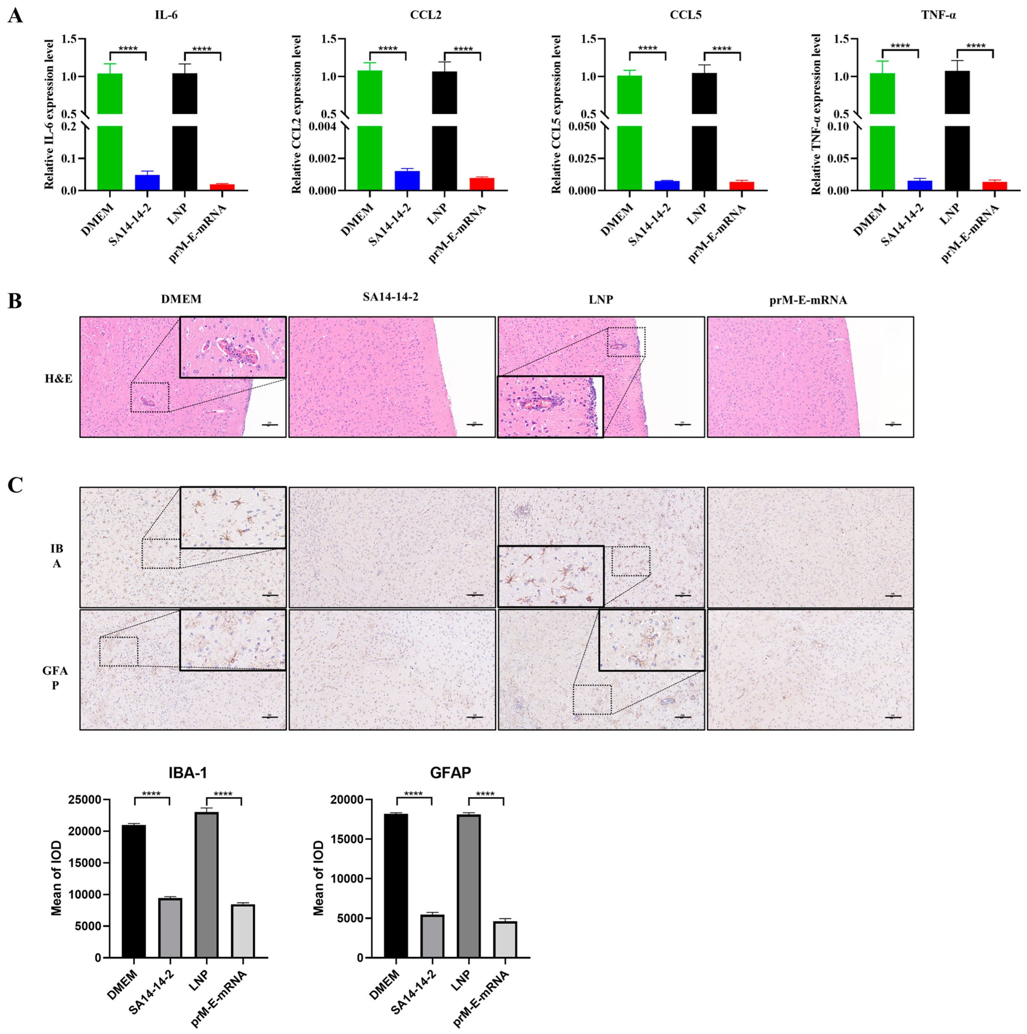 Viruses 14 01121 g004 Viruses 14 01121 g004