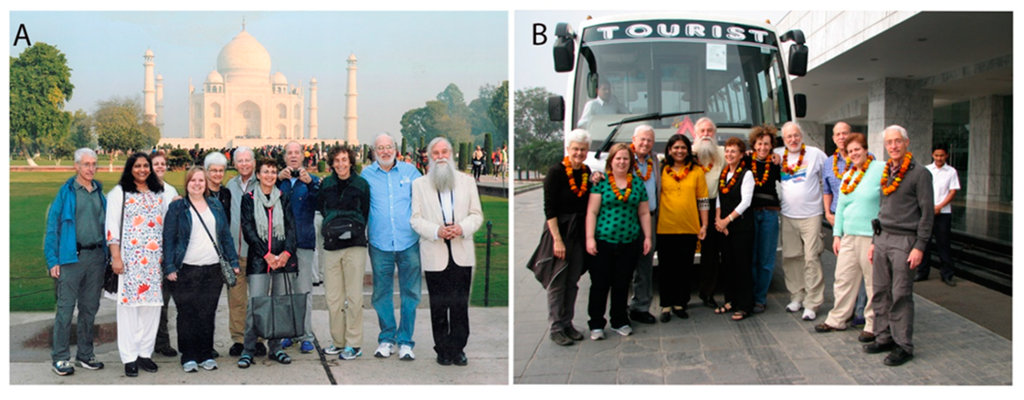 Viruses 14 01124 g002 550