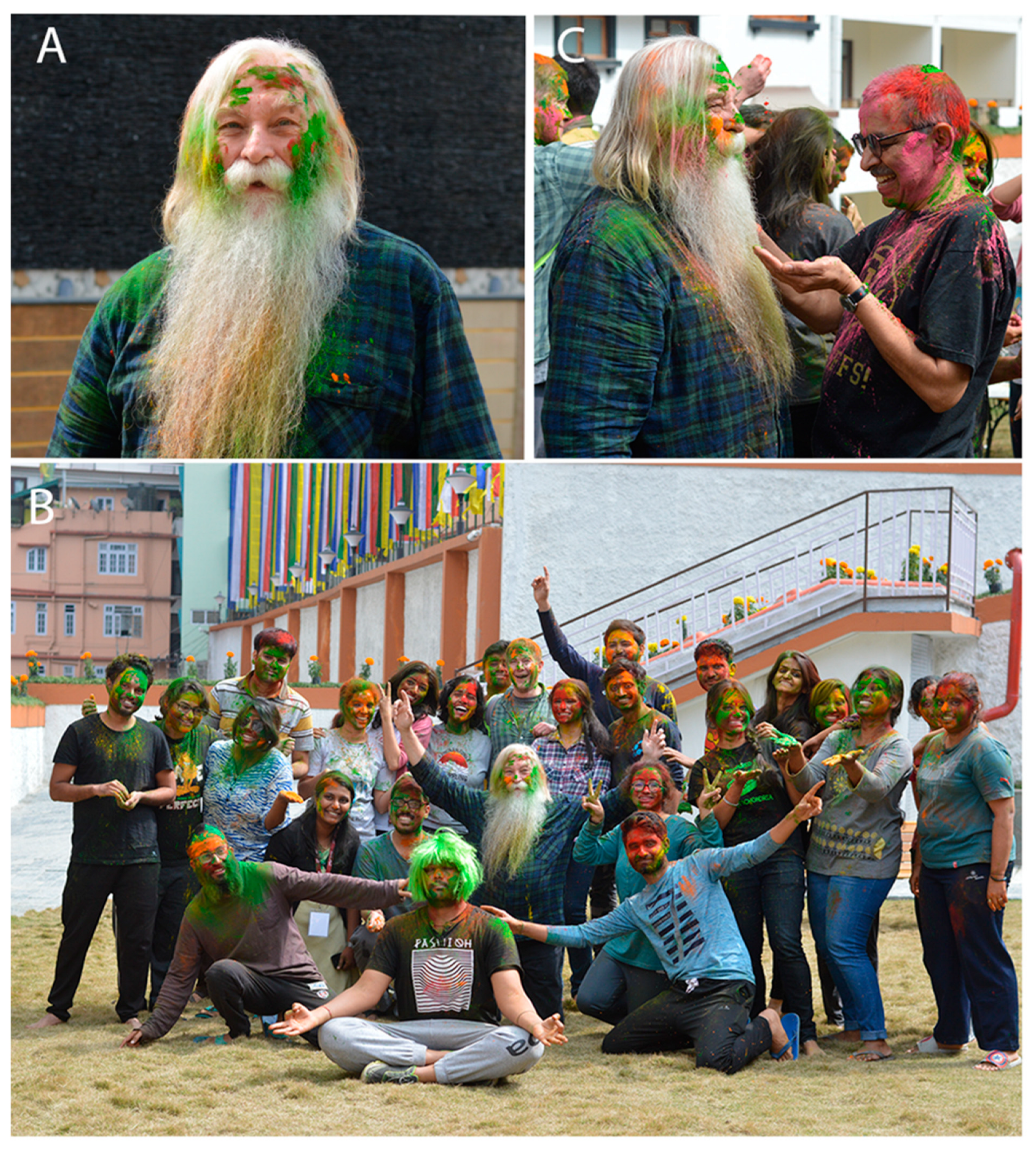 Viruses 14 01124 g005 550