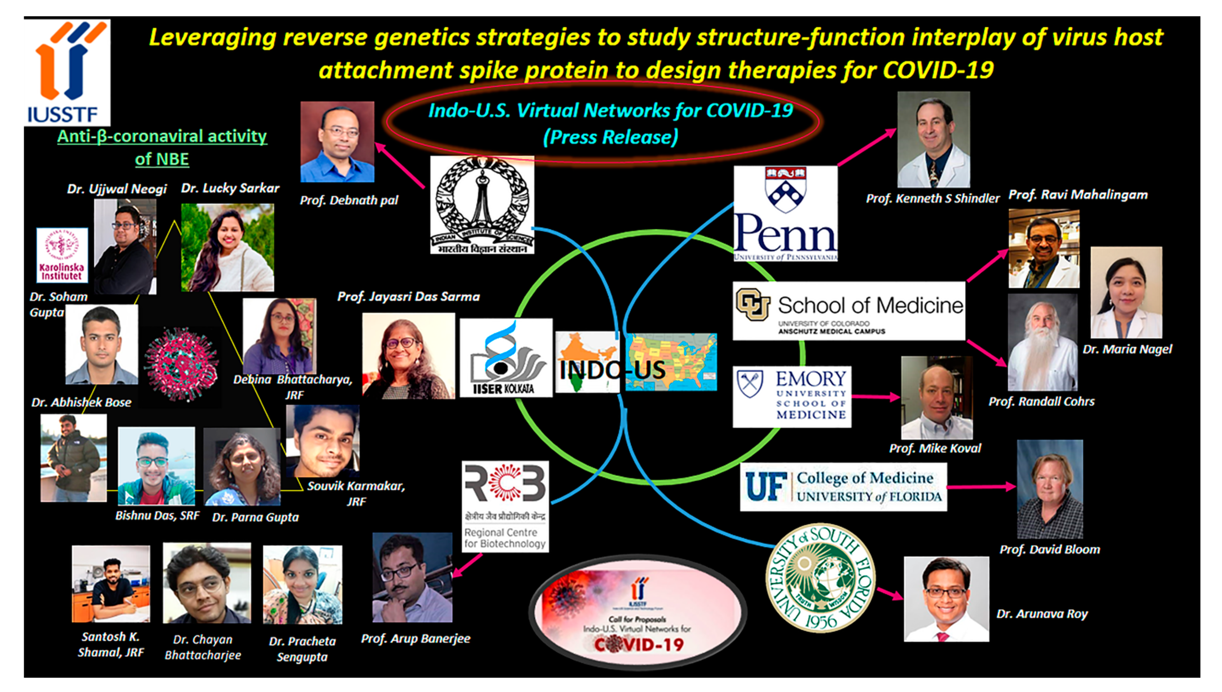 Viruses 14 01124 g006 550