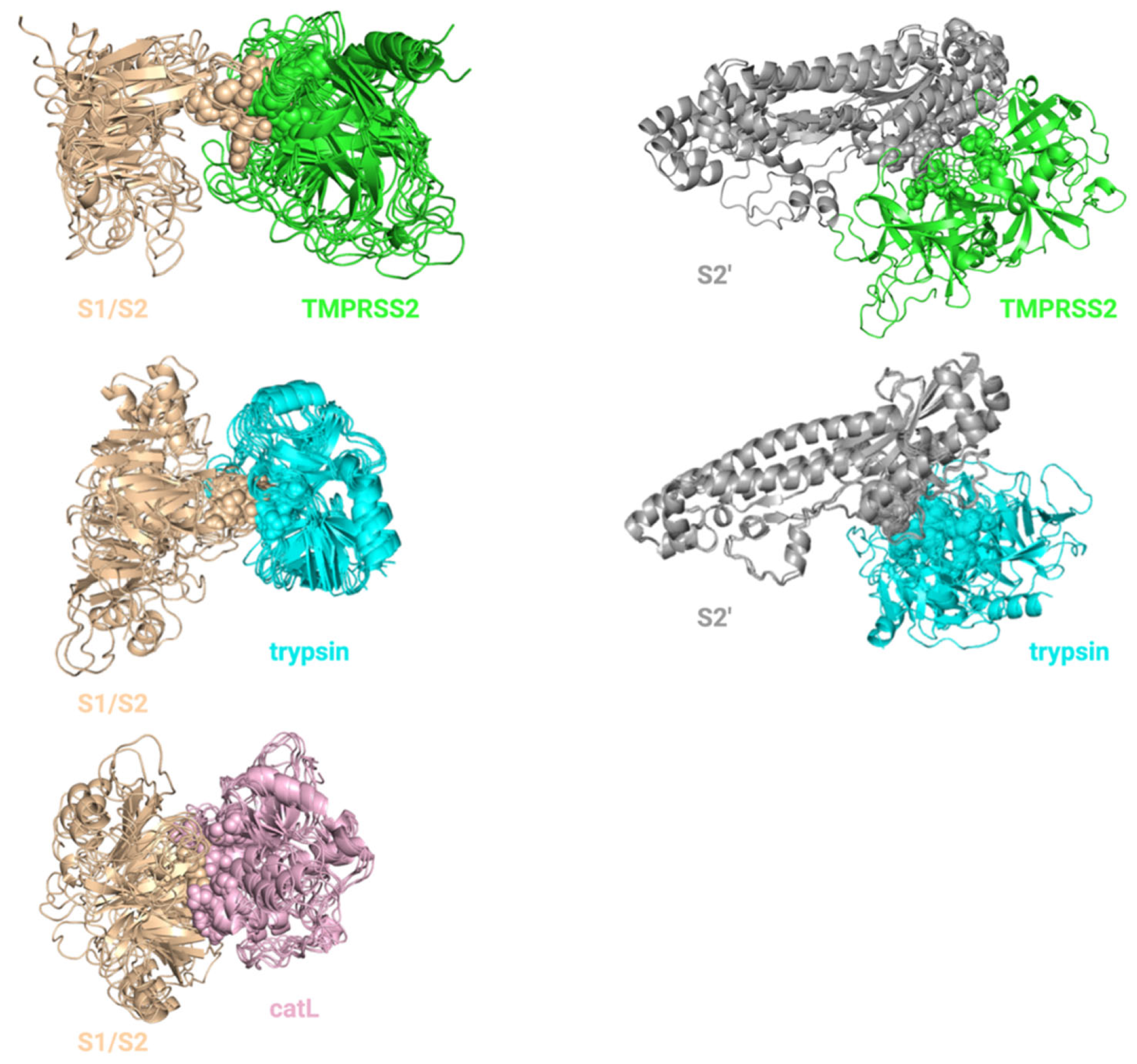 Viruses 14 01129 g003 550