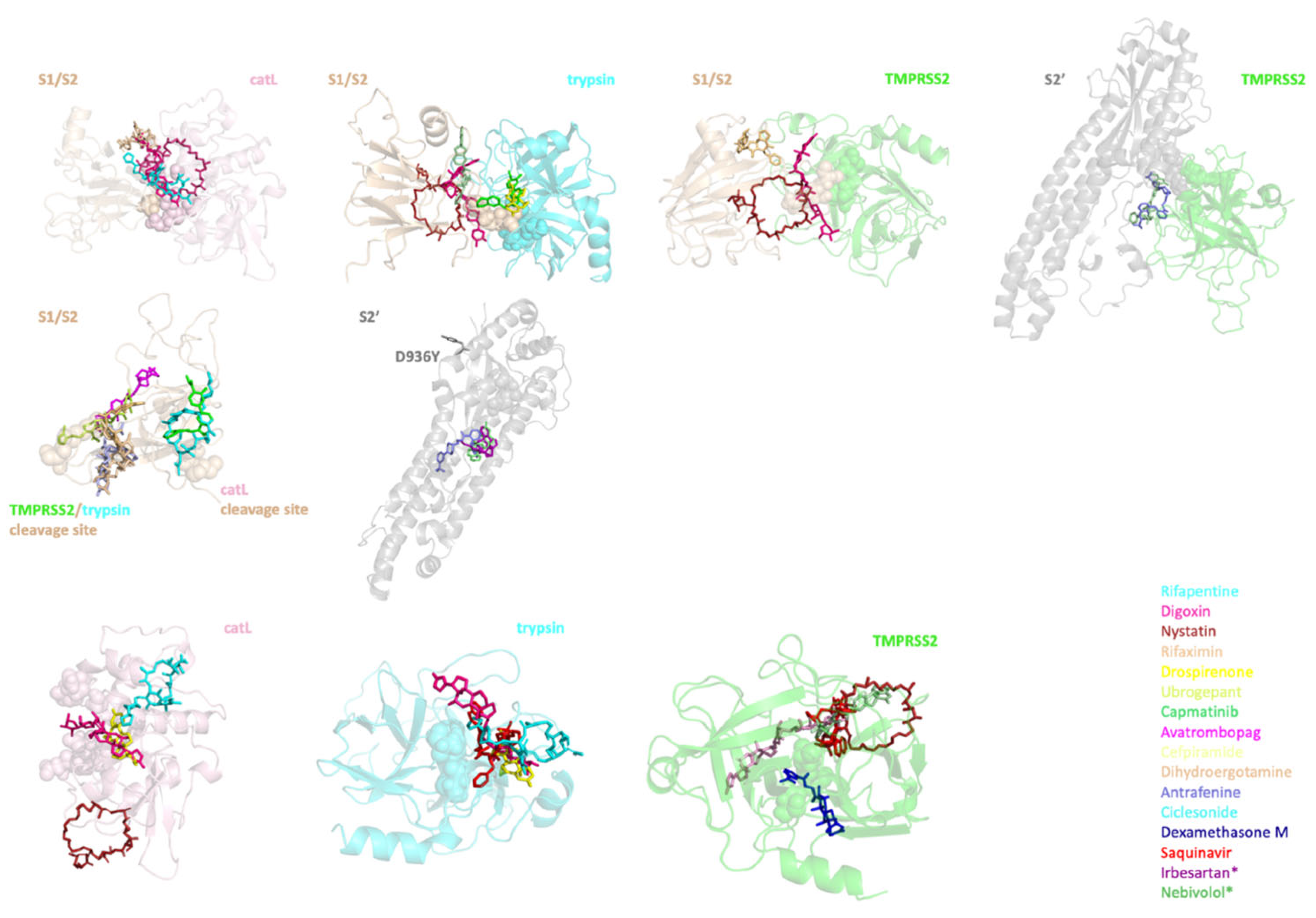 Viruses 14 01129 g005 550