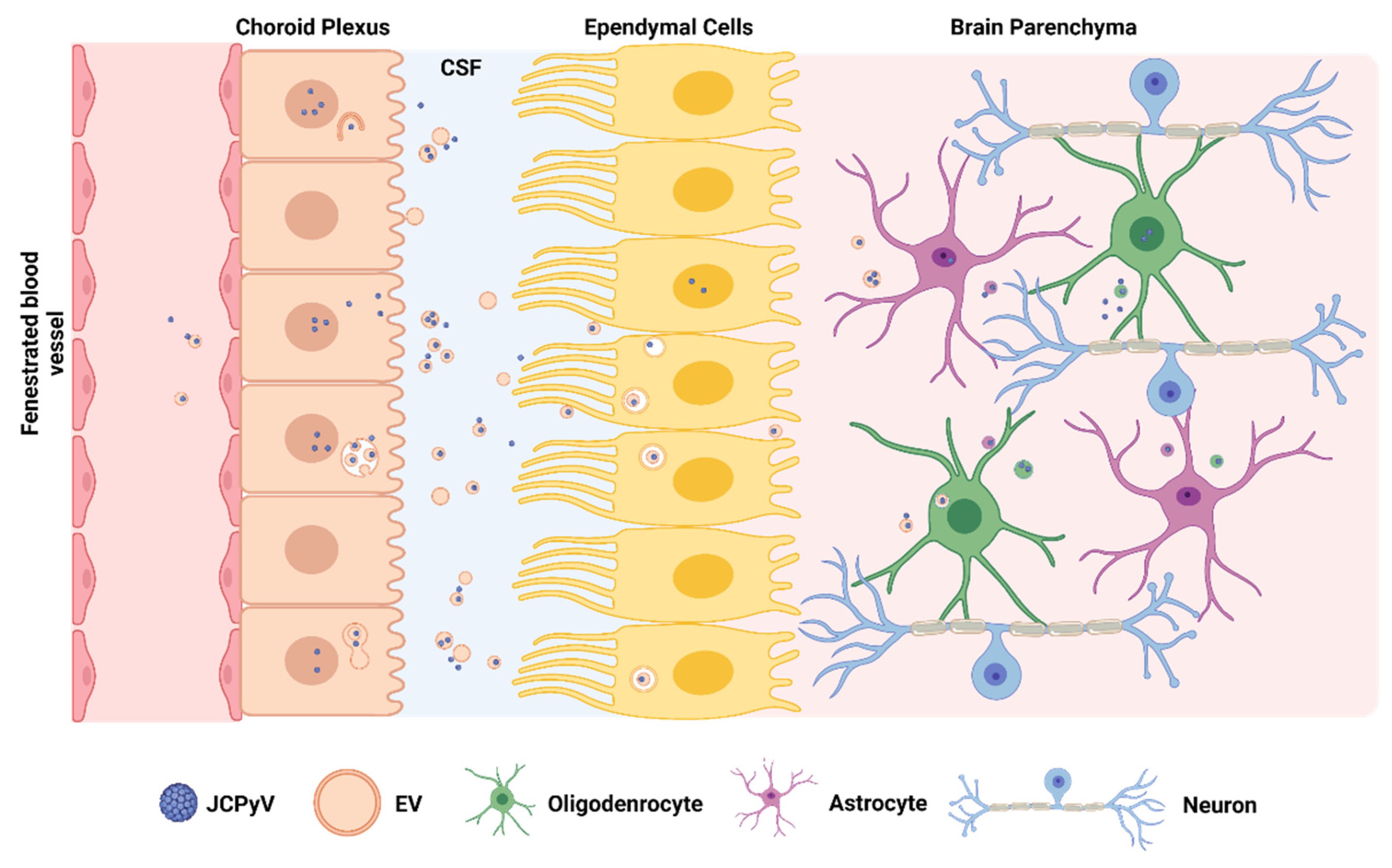 Viruses 14 01130 g003 Viruses 14 01130 g003
