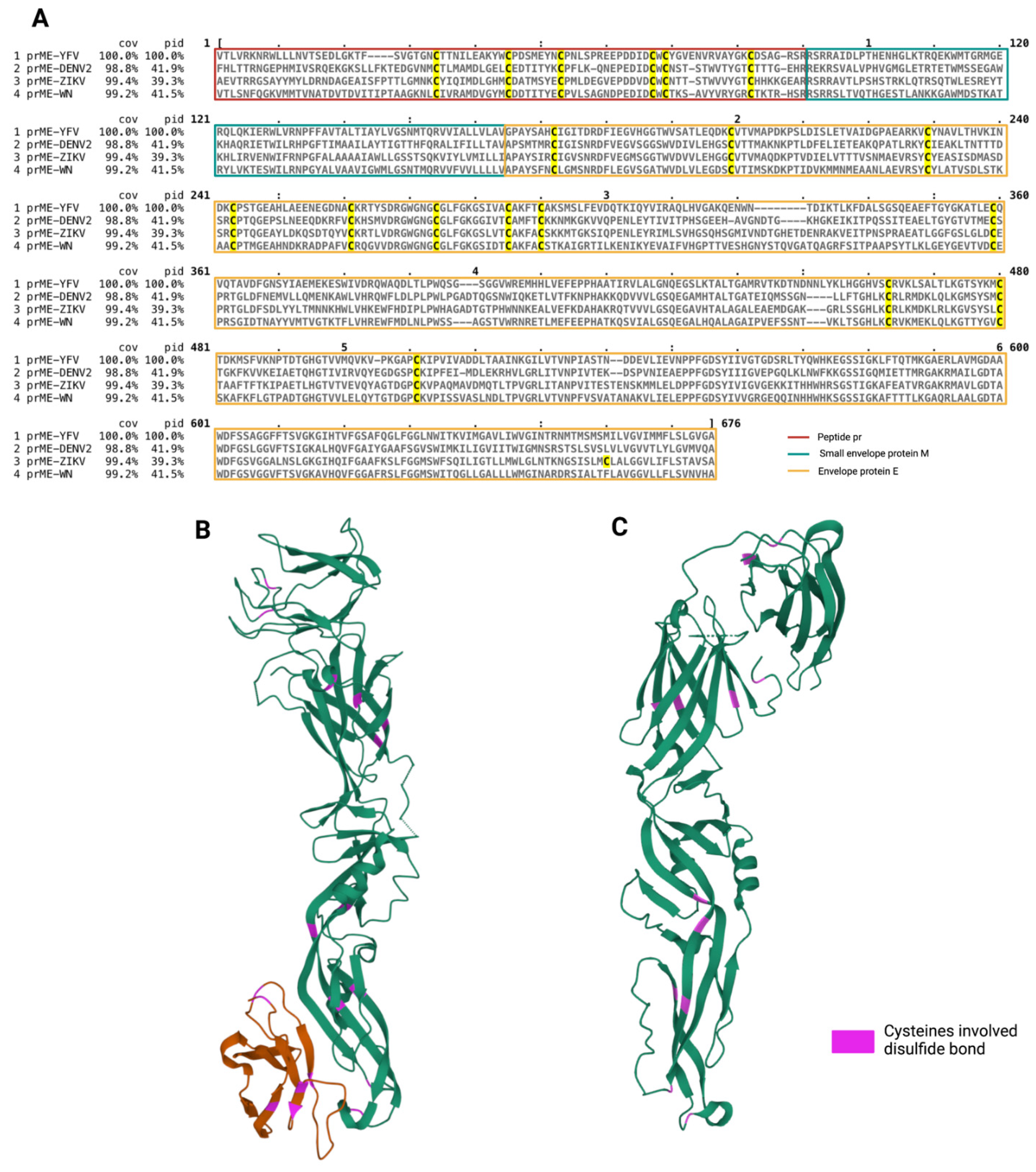 Viruses 14 01131 g004 Viruses 14 01131 g004