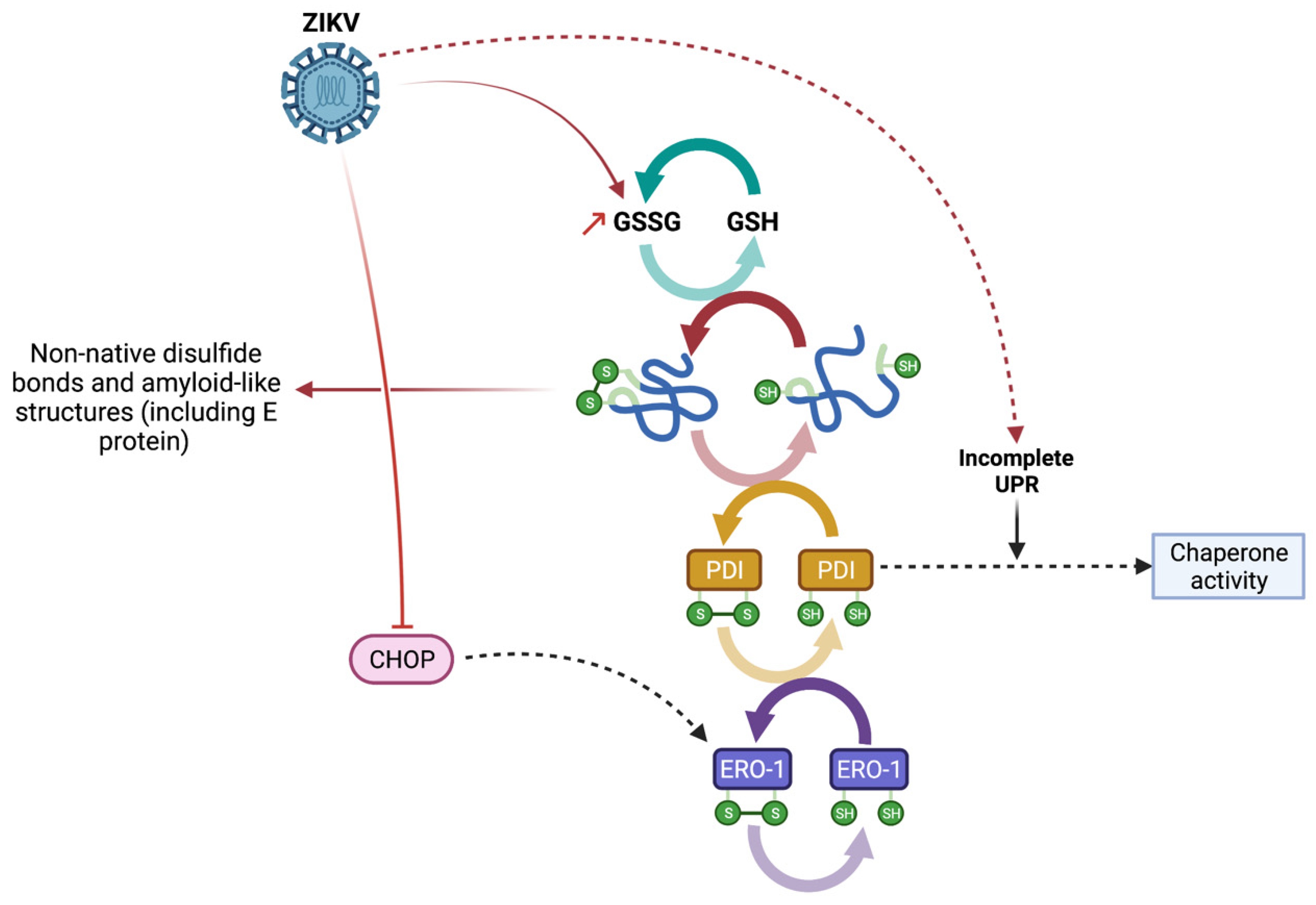 Viruses 14 01131 g006 Viruses 14 01131 g006