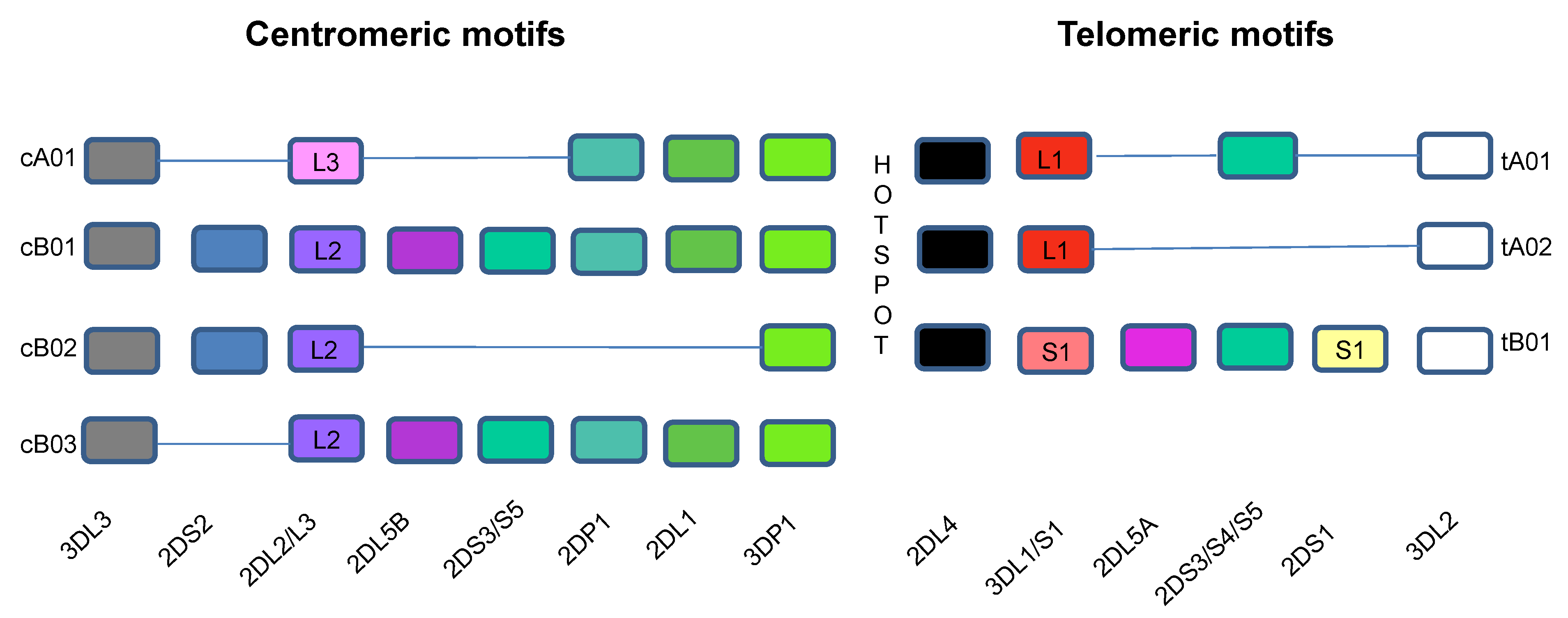 Viruses 14 01143 g001 Viruses 14 01143 g001