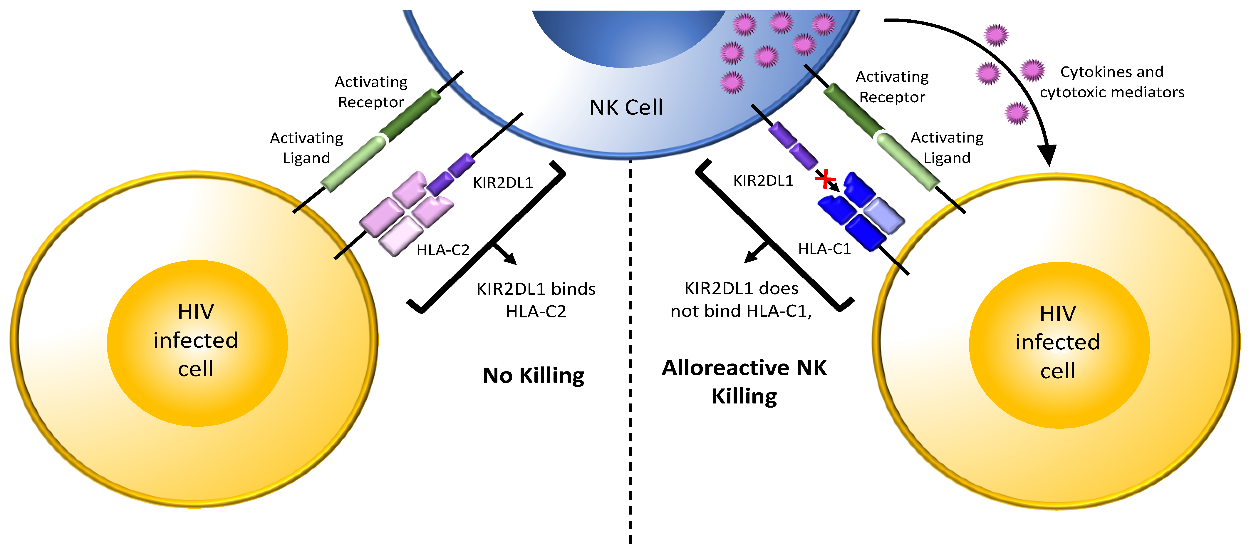 Viruses 14 01143 g003 Viruses 14 01143 g003