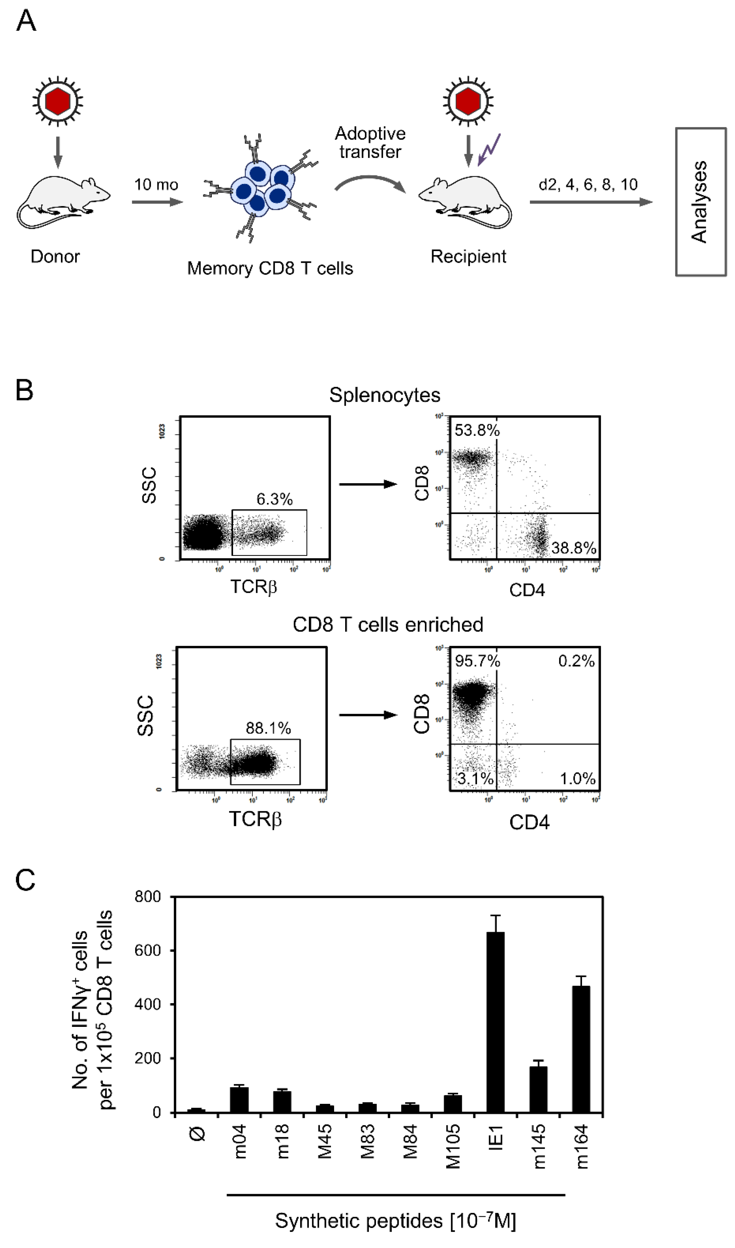 Viruses 14 01145 g001