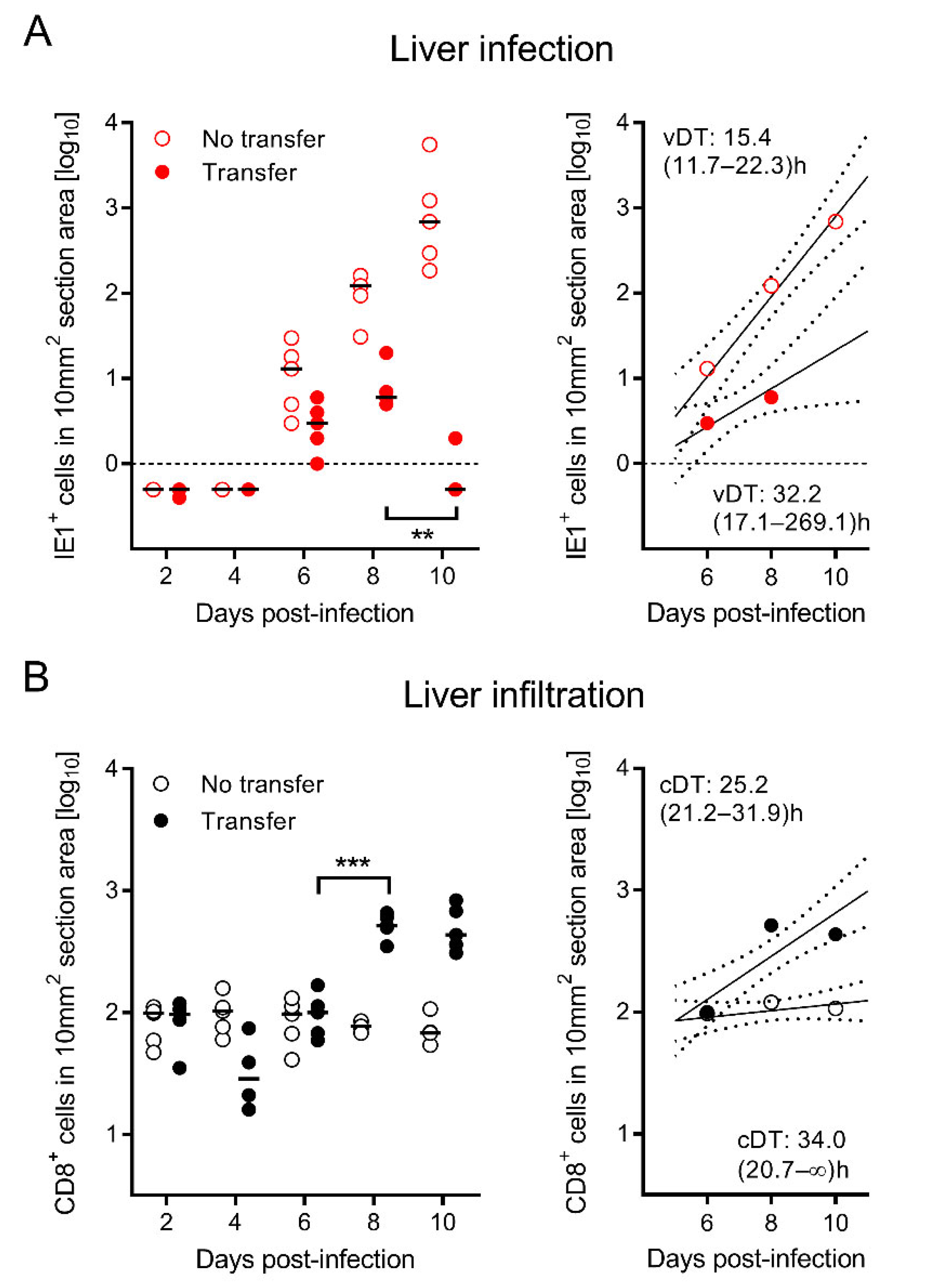 Viruses 14 01145 g003