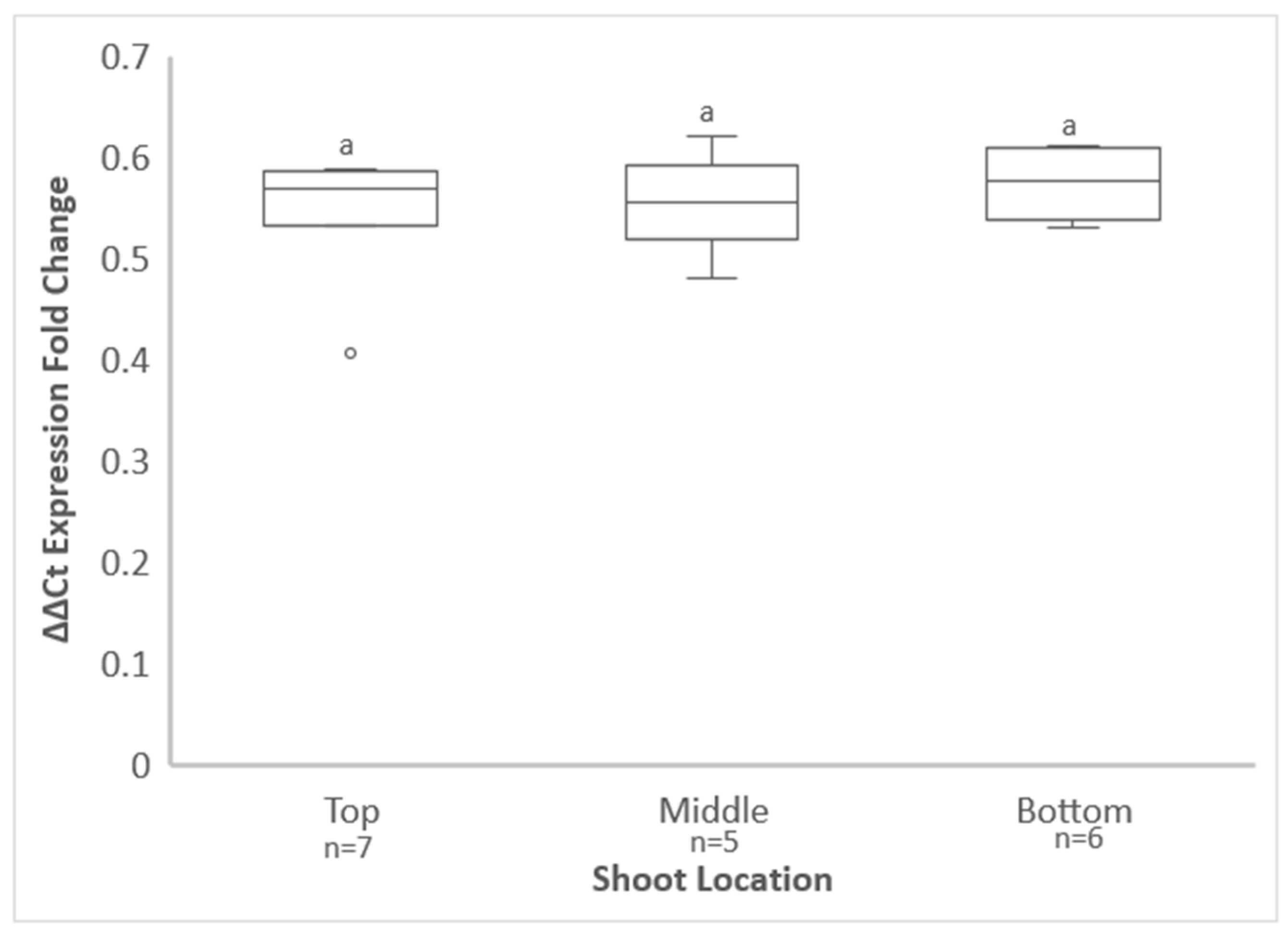 Viruses 14 01156 g003