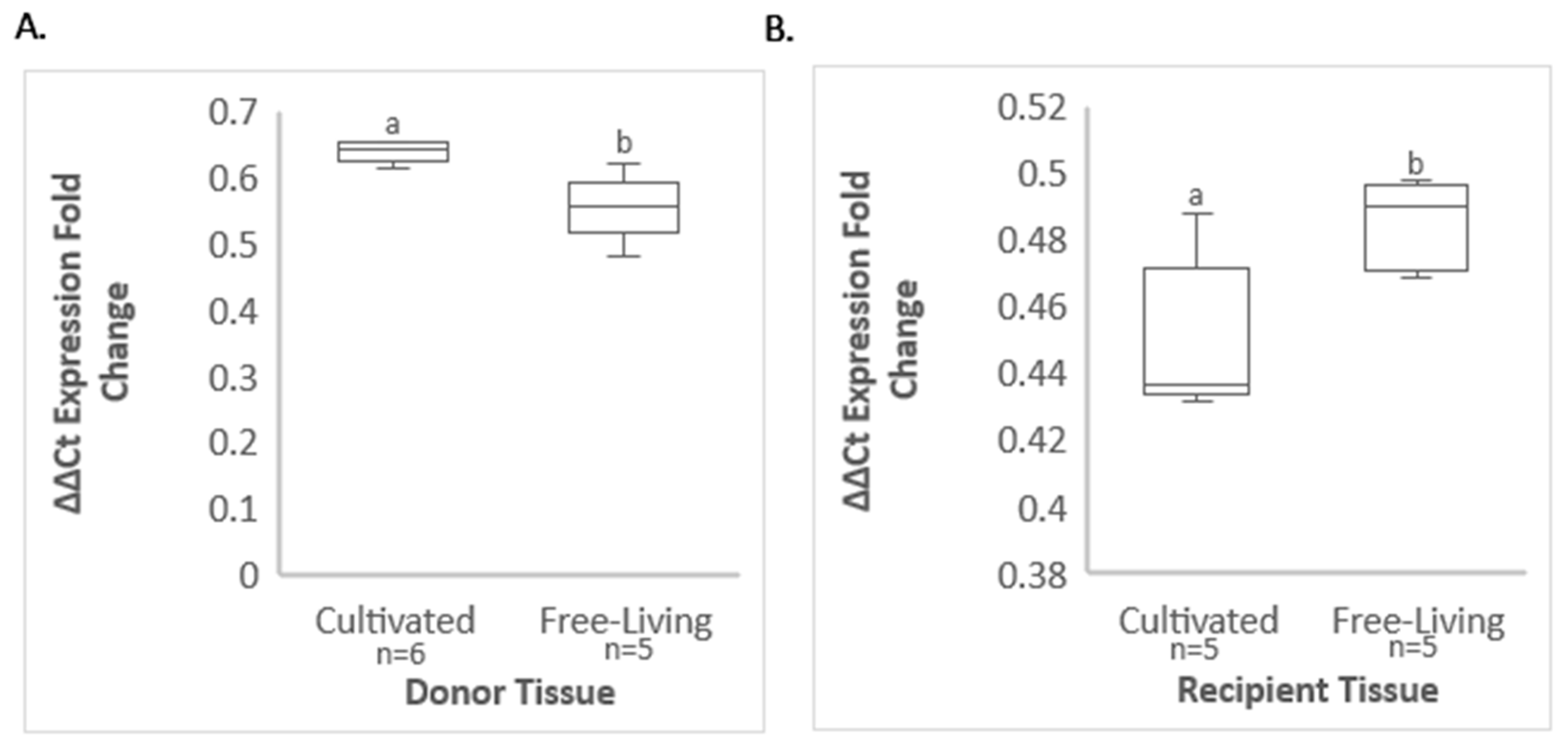 Viruses 14 01156 g004