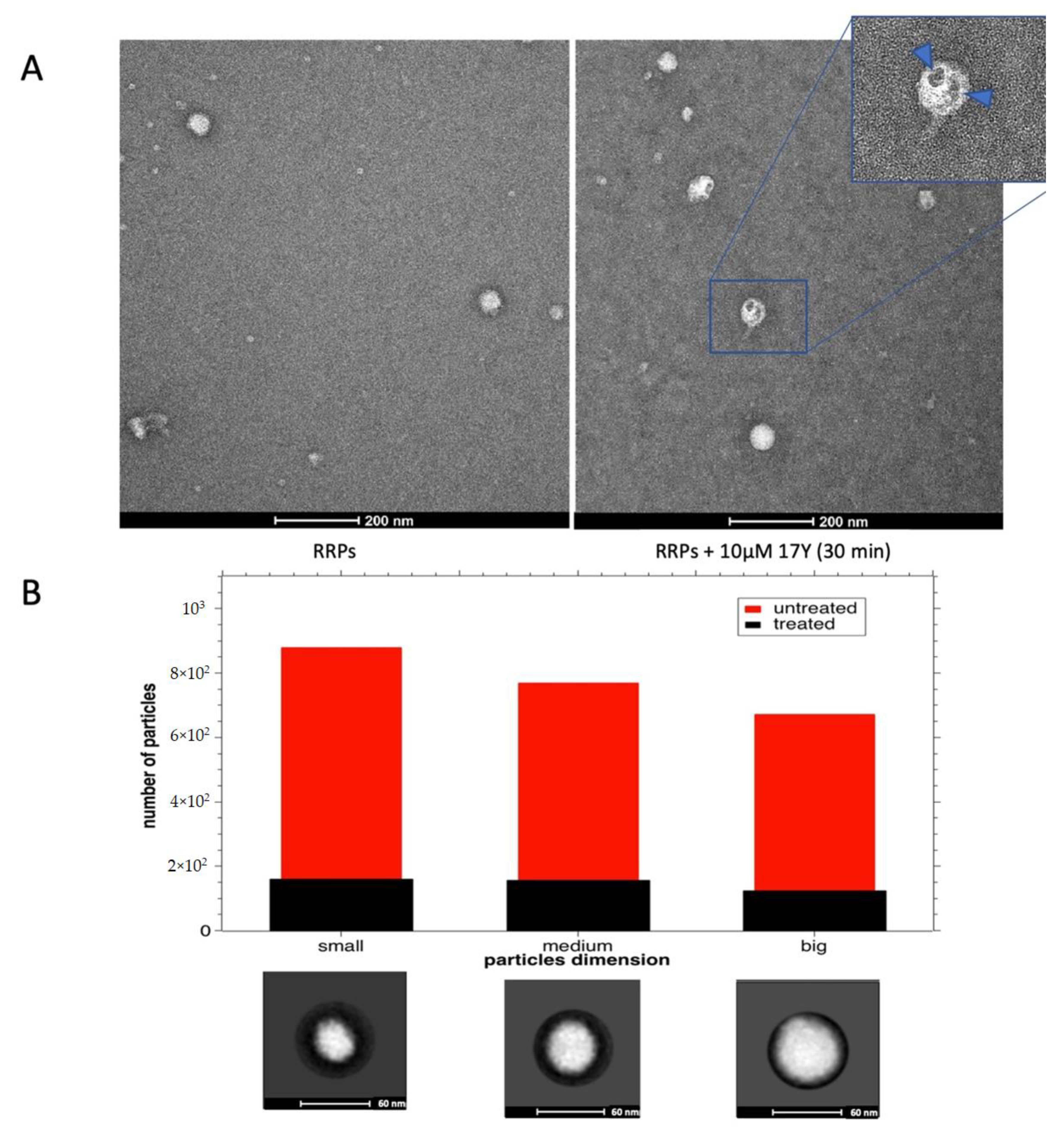 Viruses 14 01157 g003 550