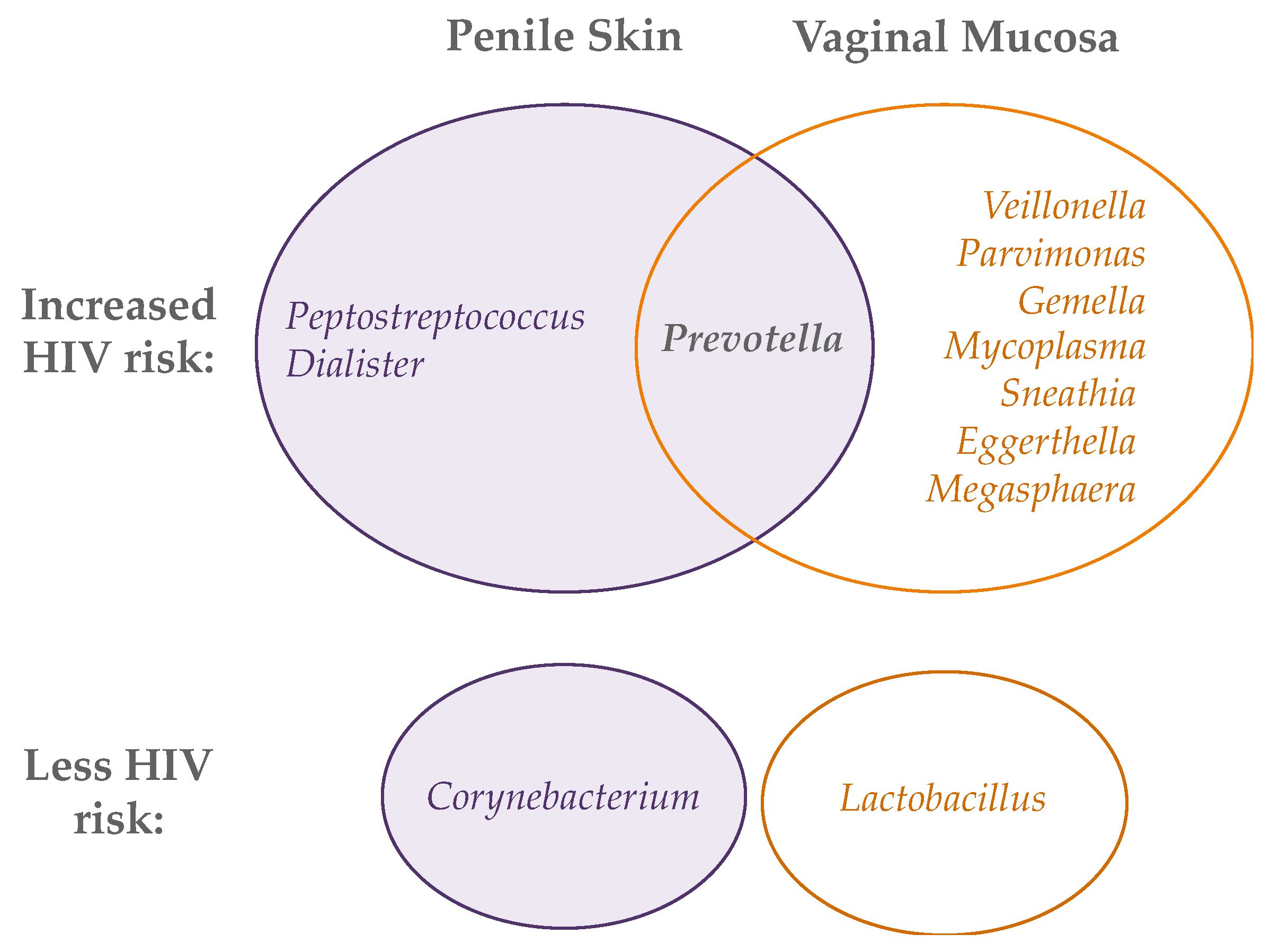 Viruses 14 01164 g002