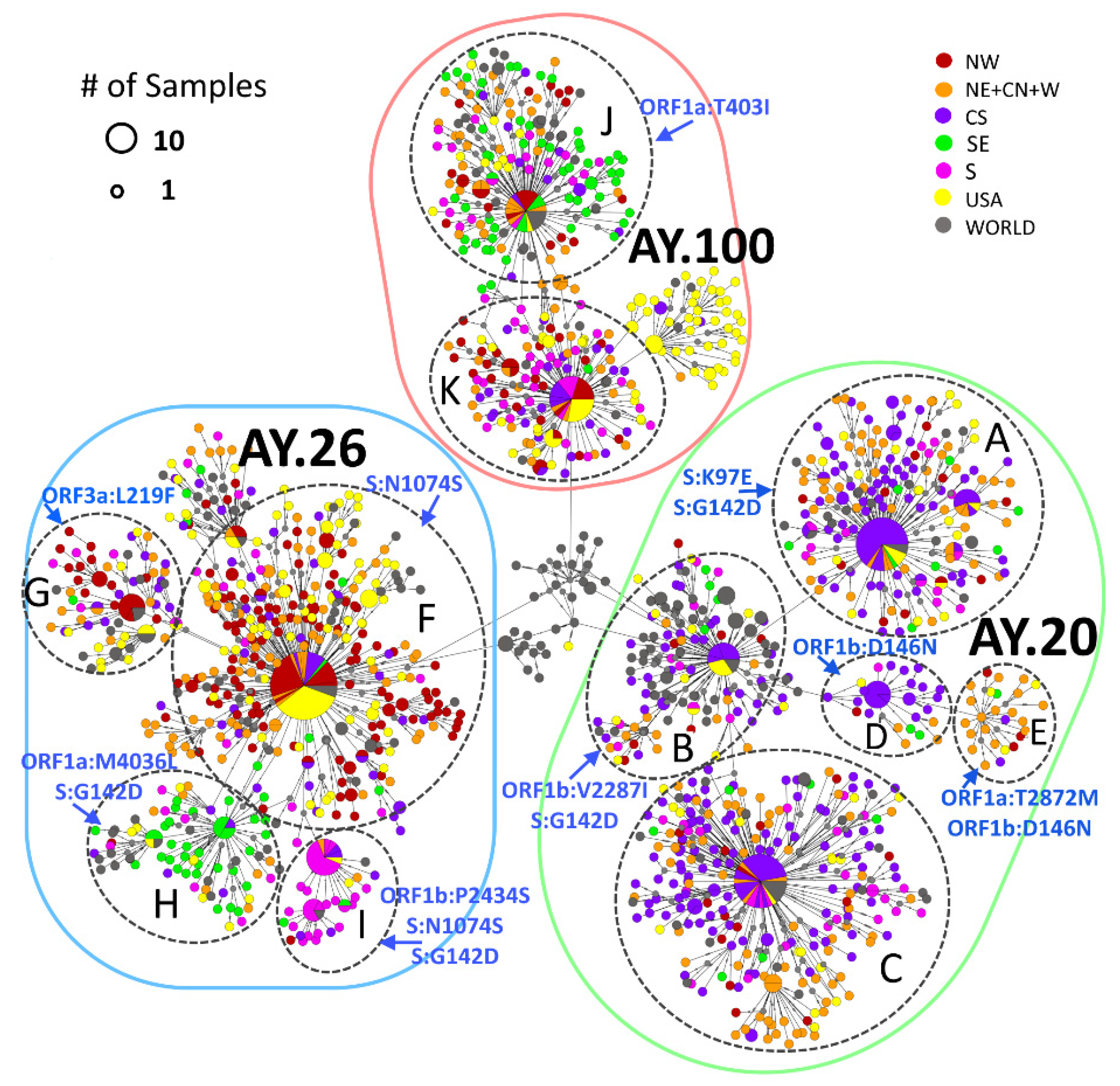 Viruses 14 01165 g004