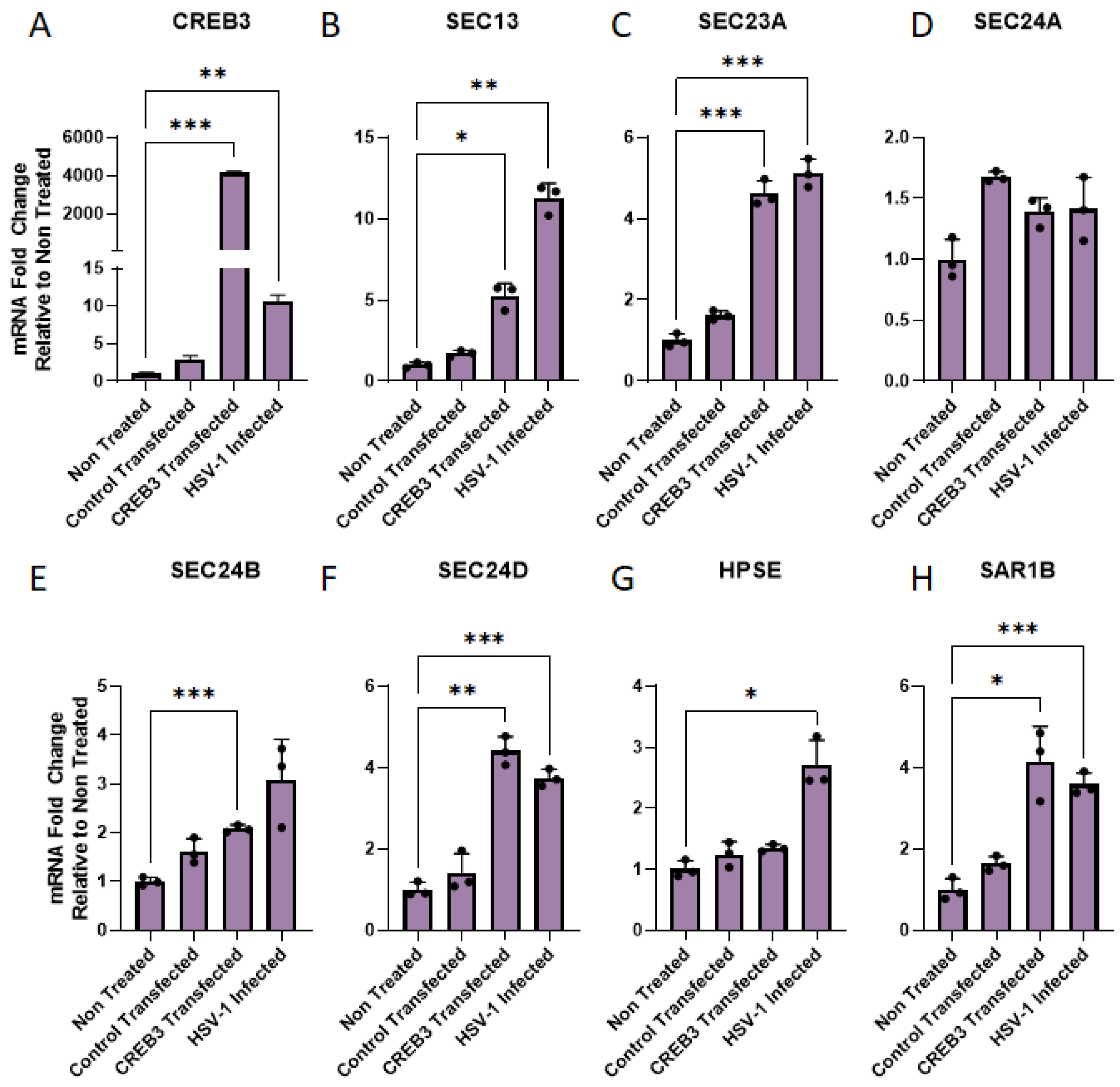 Viruses 14 01171 g004