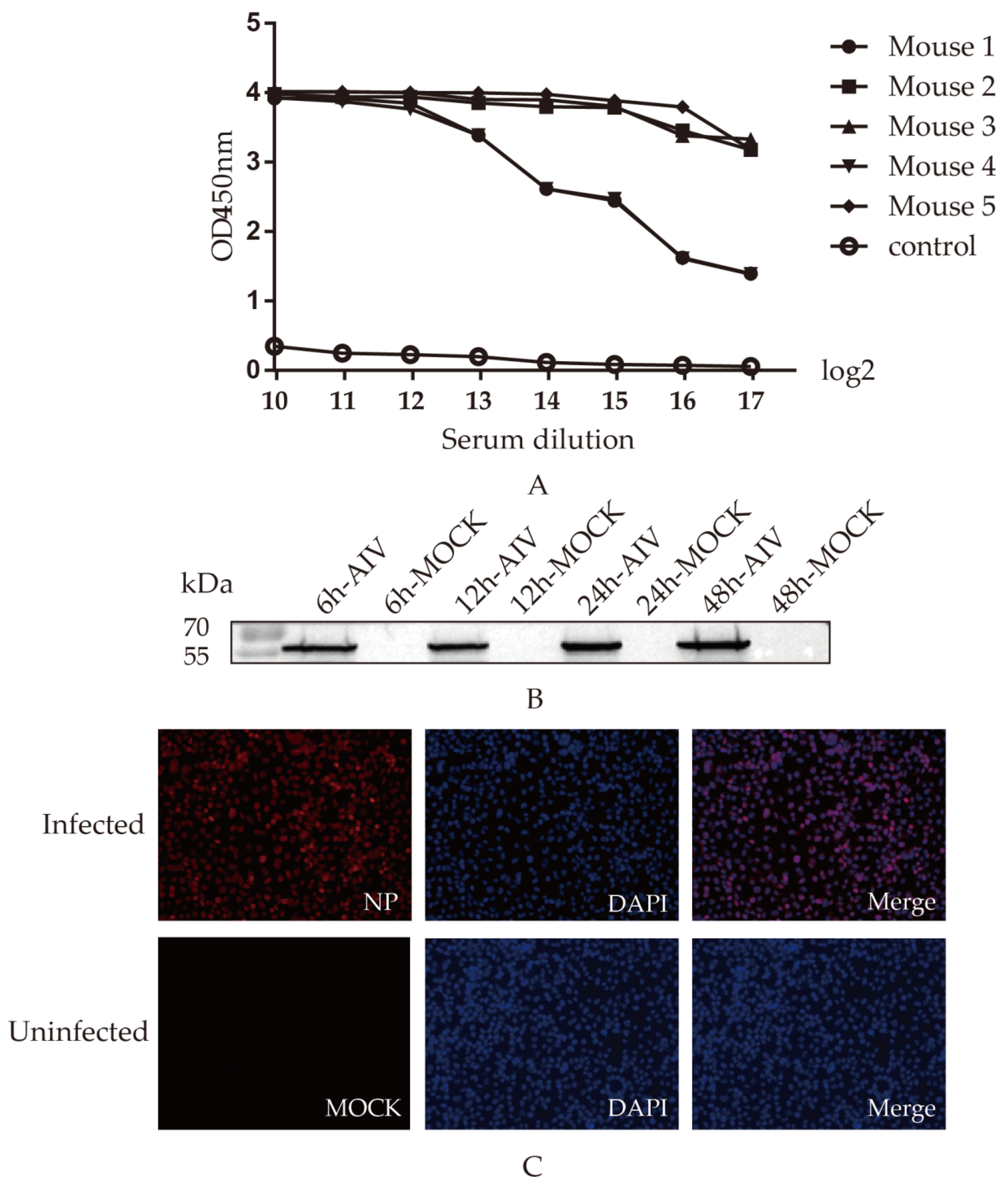 Viruses 14 01172 g002 Viruses 14 01172 g002