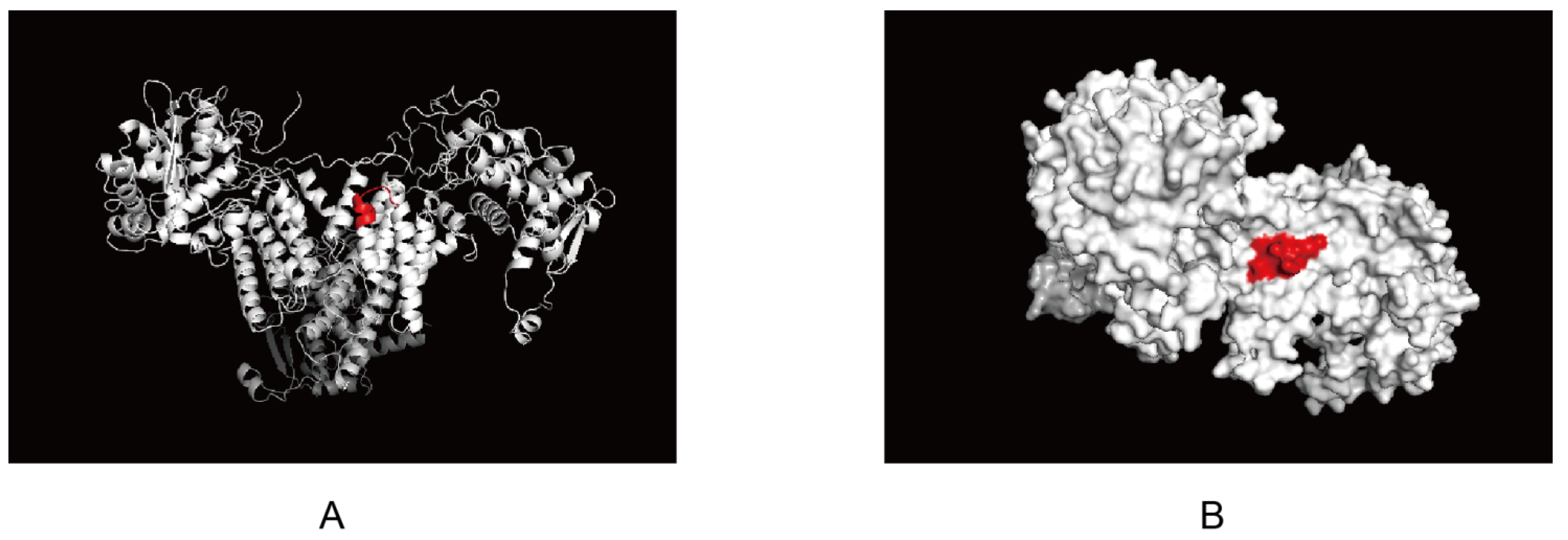 Viruses 14 01172 g005 Viruses 14 01172 g005