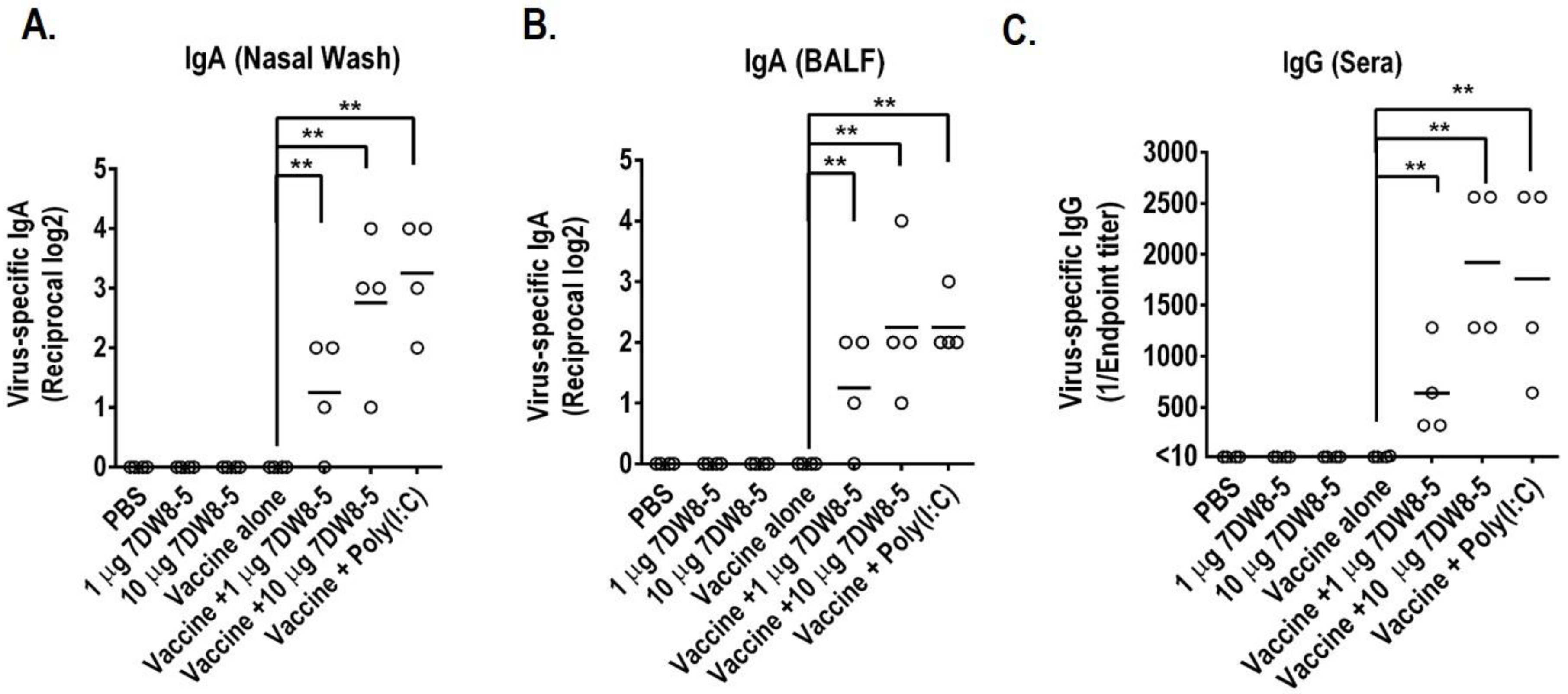 Viruses 14 01174 g001 550