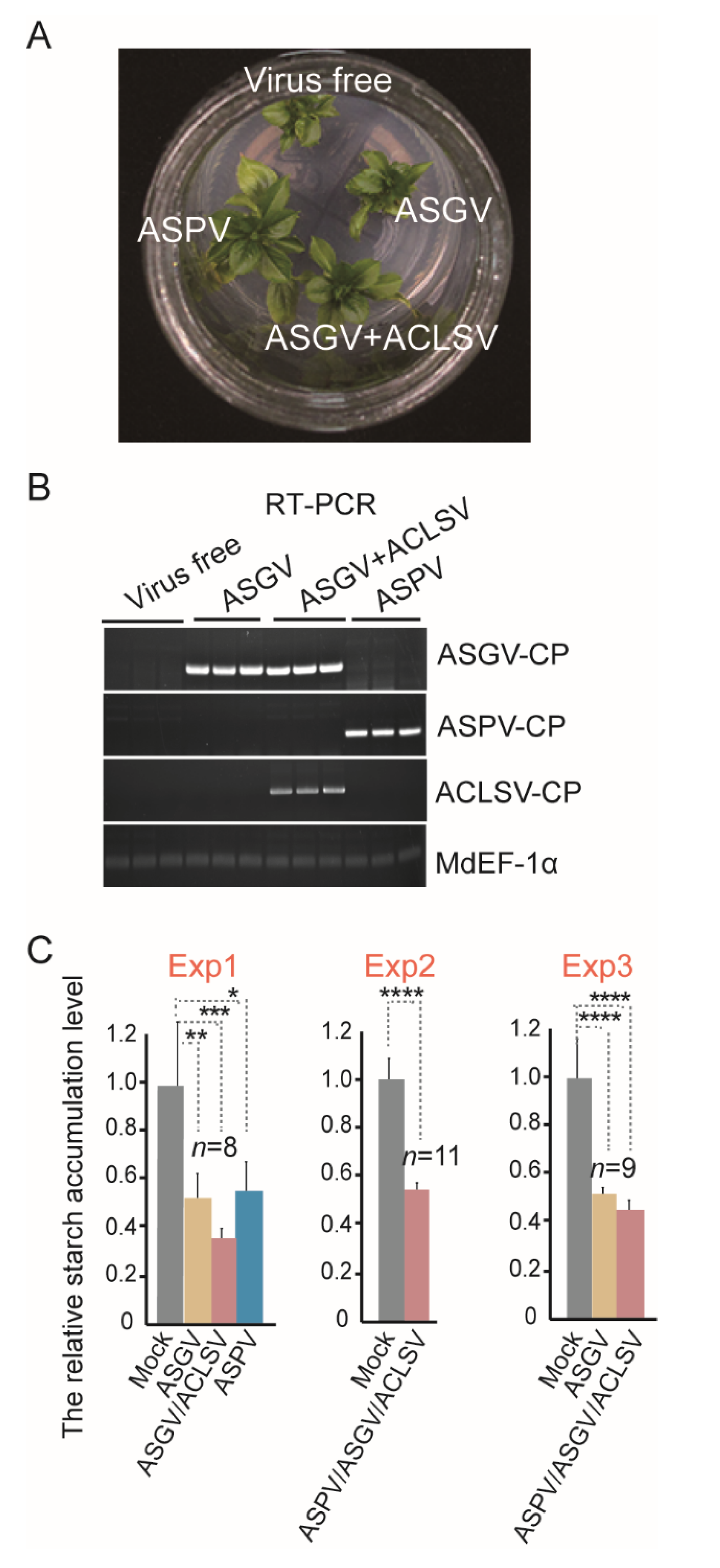 Viruses 14 01176 g003