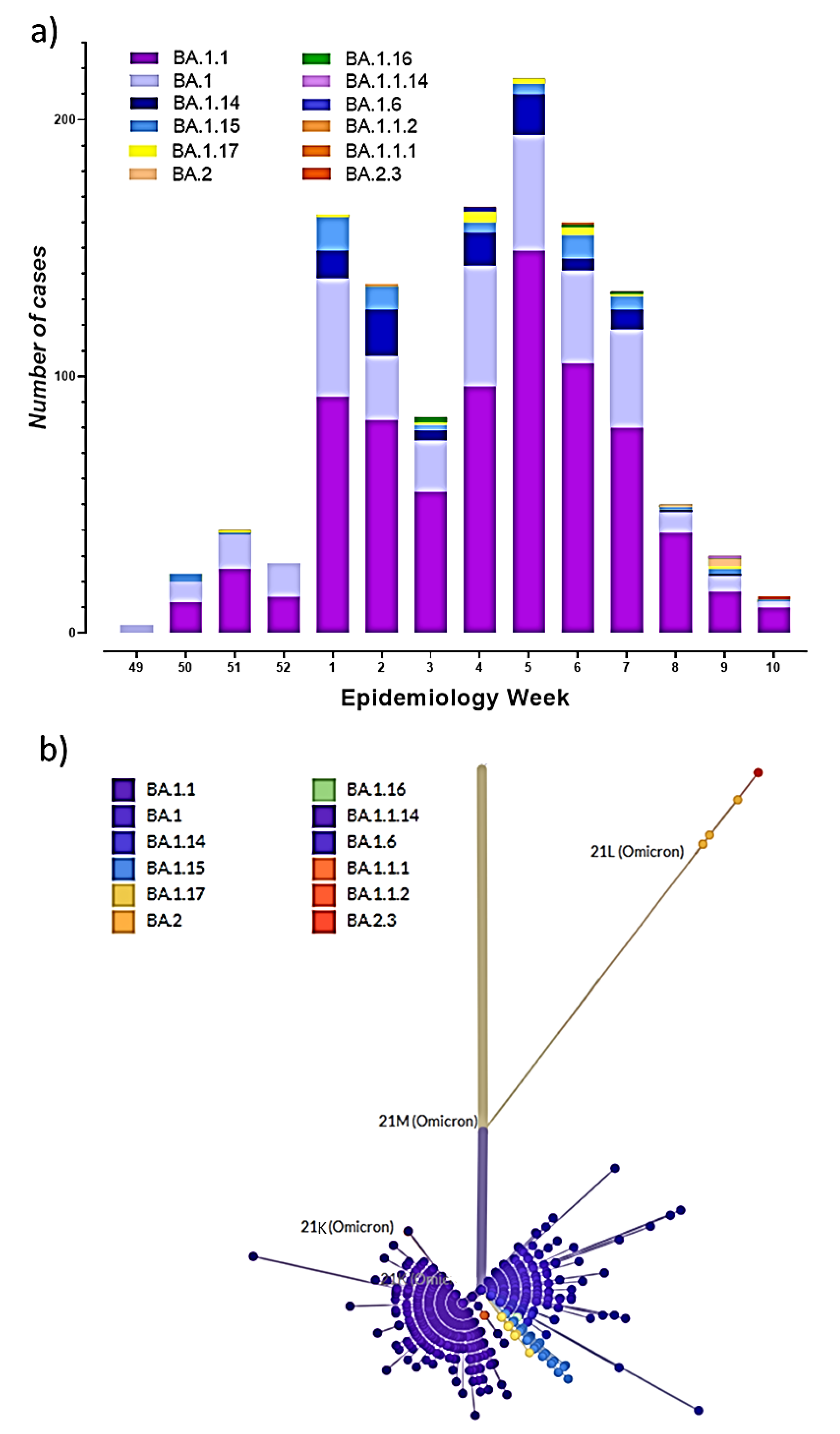 Viruses 14 01177 g002 550