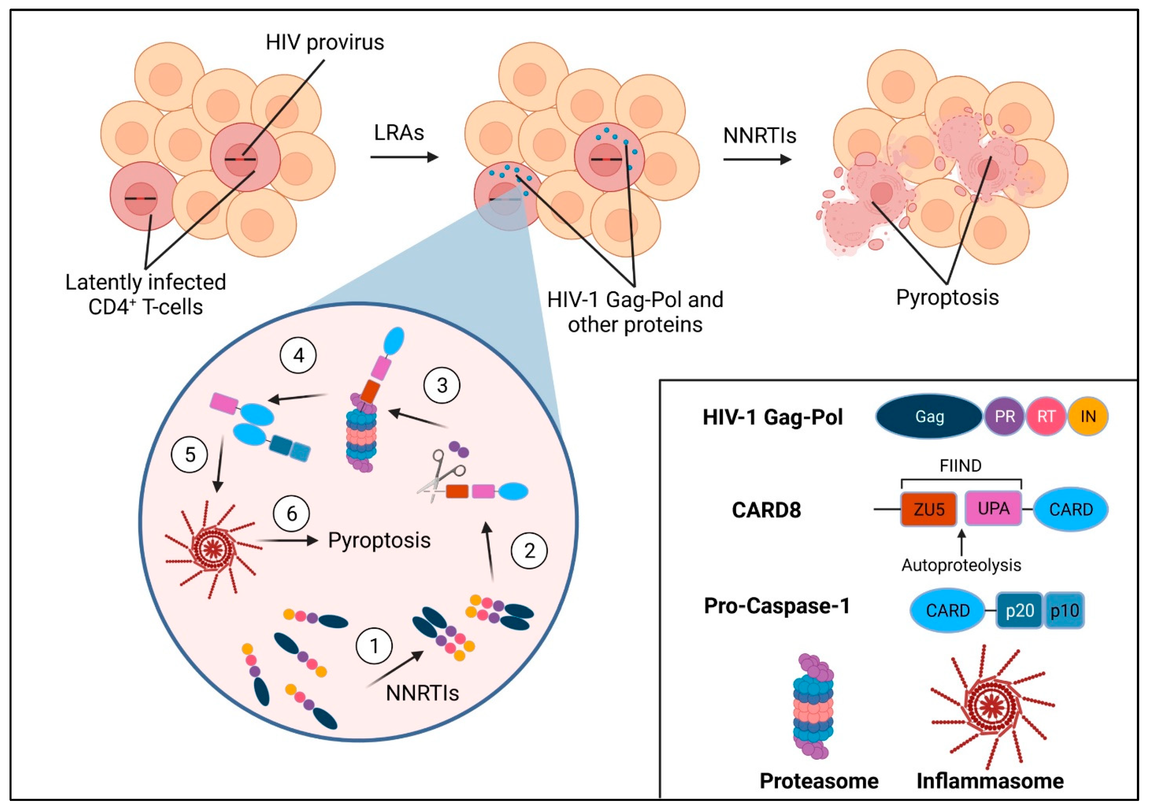 Viruses 14 01179 g001