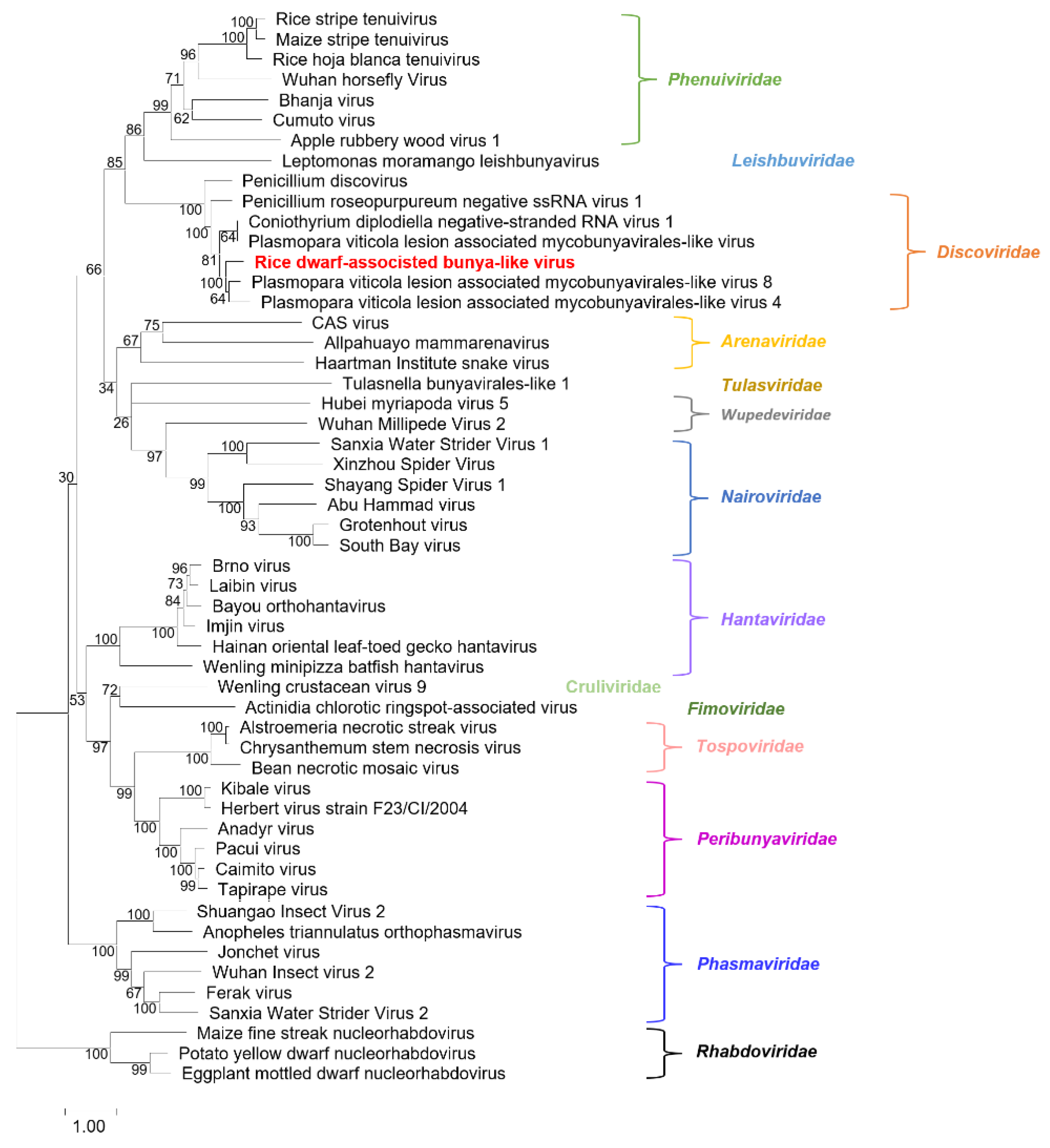 Viruses 14 01183 g003 Viruses 14 01183 g003