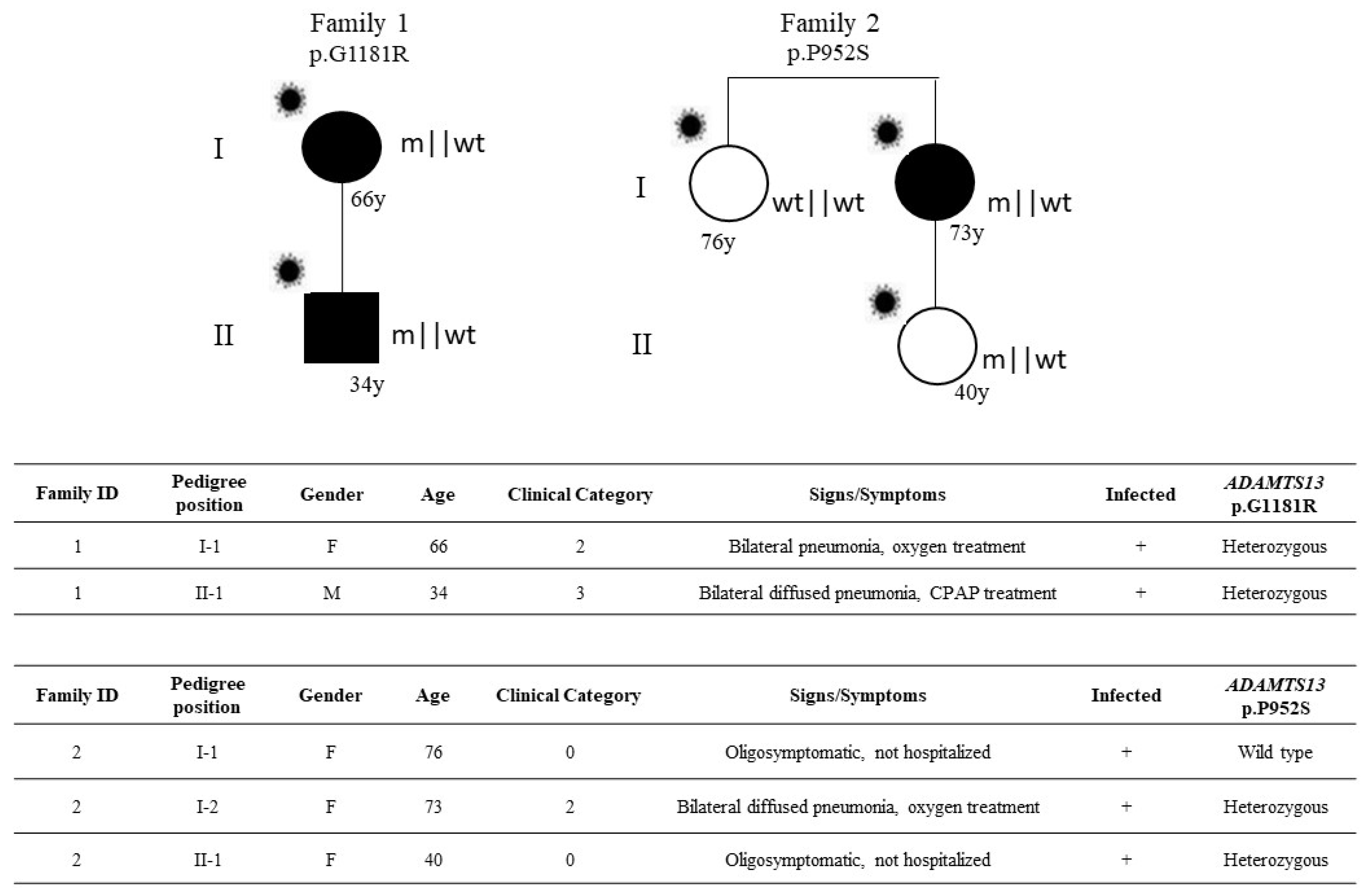 Viruses 14 01185 g002